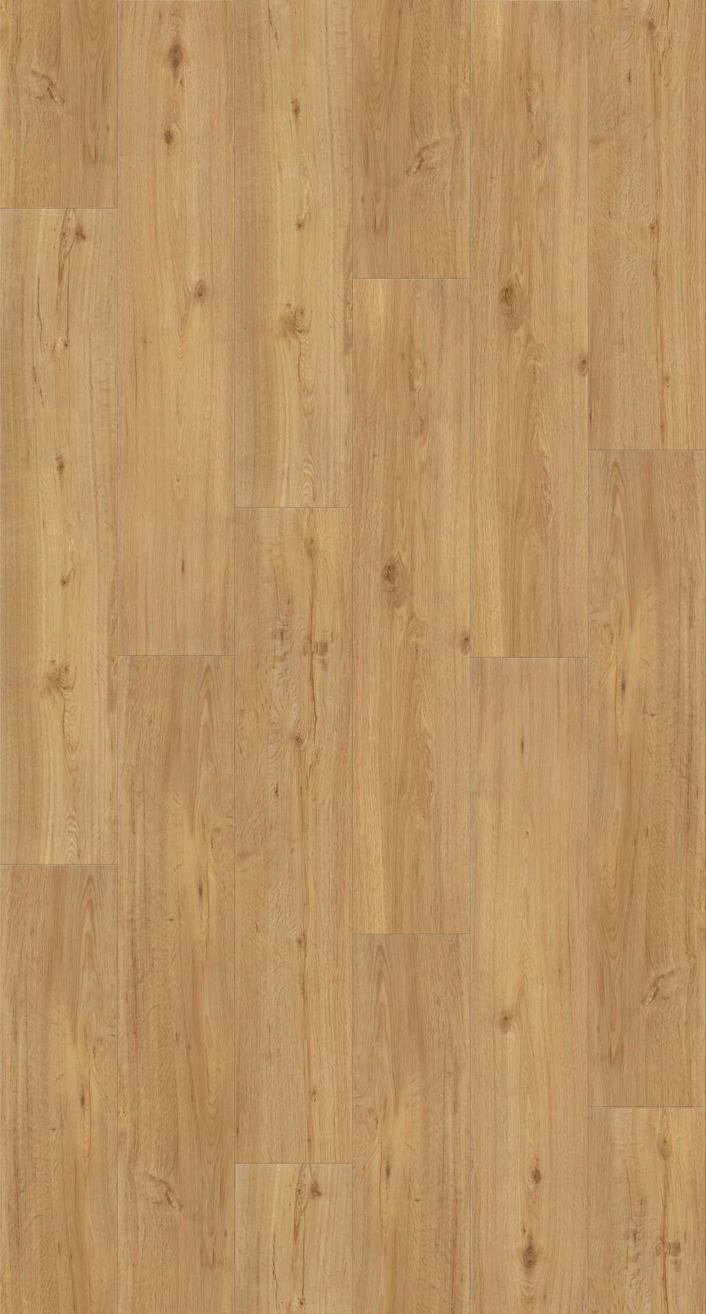 Image of PARADOR Vinyllaminat »Basic 2.0 - Eiche Natur«, (Packung), ohne Fuge, 1225 x 229 x 2 mm, 4,5 m² bei Ackermann Versand Schweiz