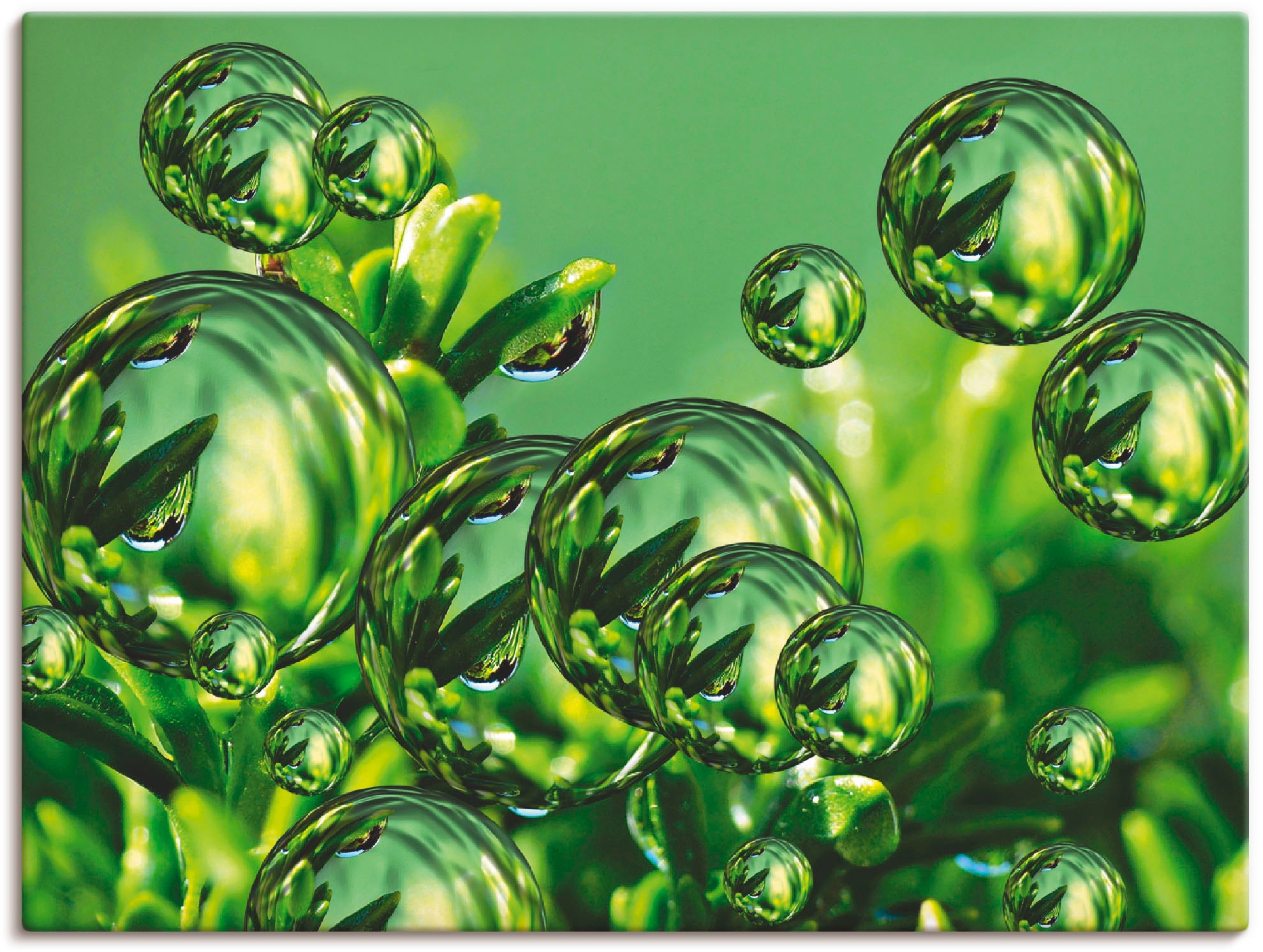 Image of Artland Wandbild »Fantasie«, Muster, (1 St.), in vielen Grössen & Produktarten -Leinwandbild, Poster, Wandaufkleber / Wandtattoo auch für Badezimmer geeignet bei Ackermann Versand Schweiz