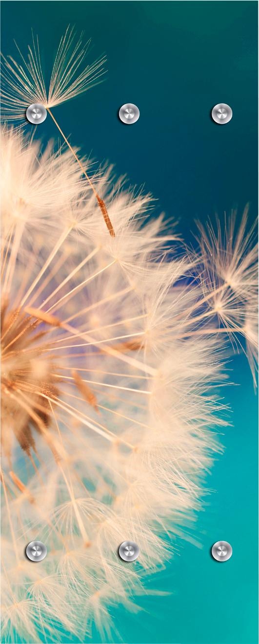 Garderobenleiste »Pusteblume in gross«, mit 6 Haken, 50 x 120 cm