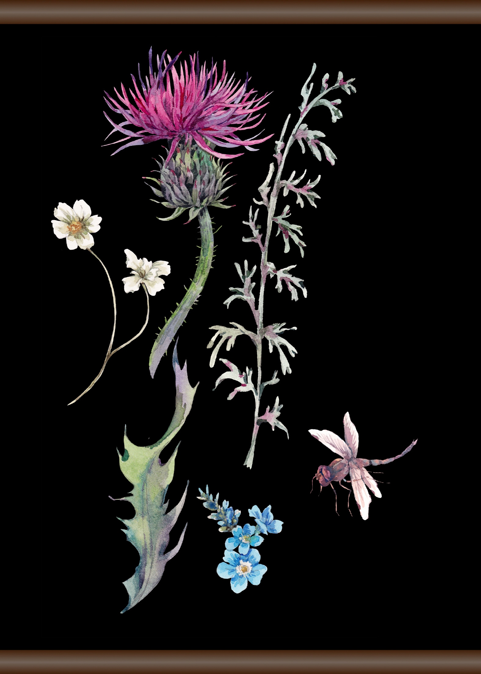 Leinwandbild »Pflanzen und Libellen«, 50x70 cm