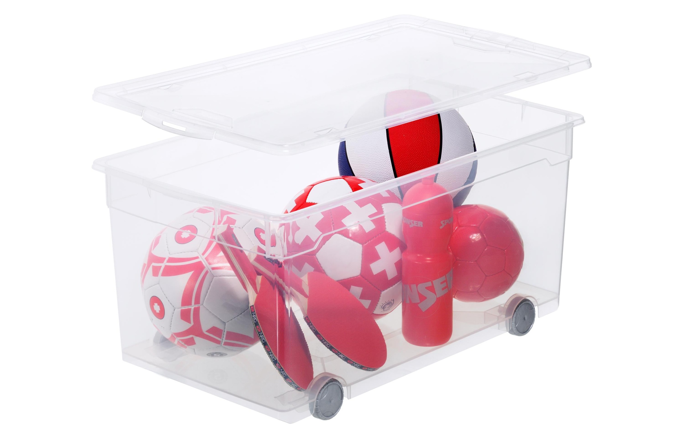 ROTHO Aufbewahrungsbox »Set Clear Box Roller4 2 tlg.«, (2 St.)