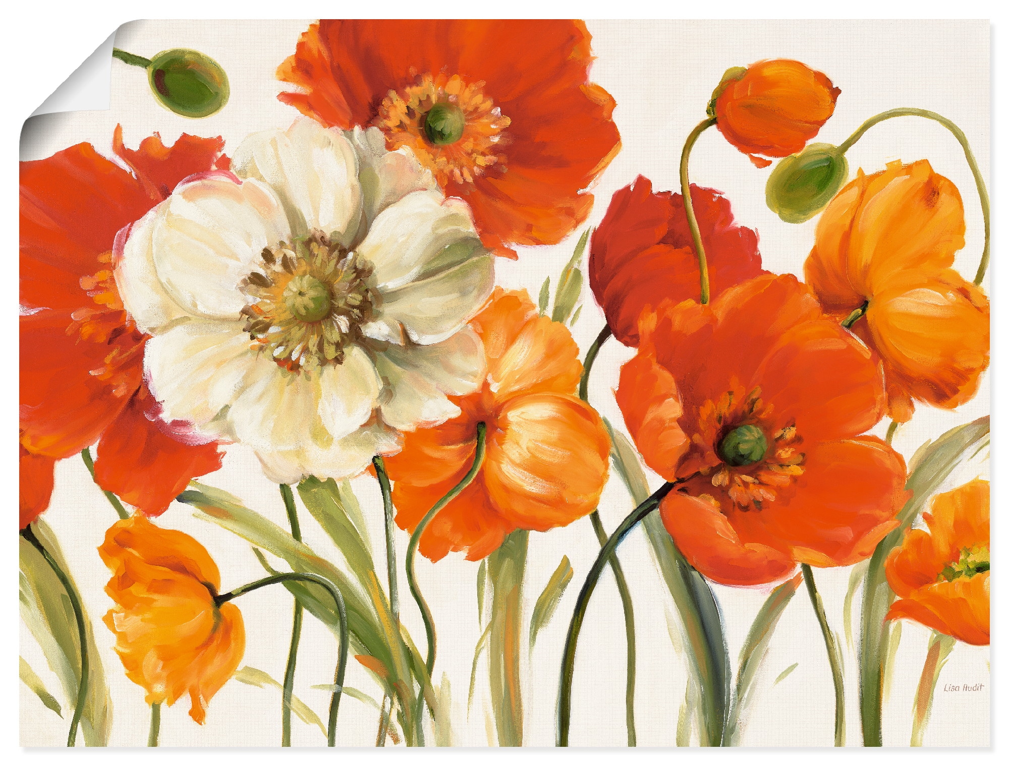 Artland Wandbild »Mohnblumen I« Blumen 1 Stk. tlg. als Leinwandbild, Poster in verschied. Grössen