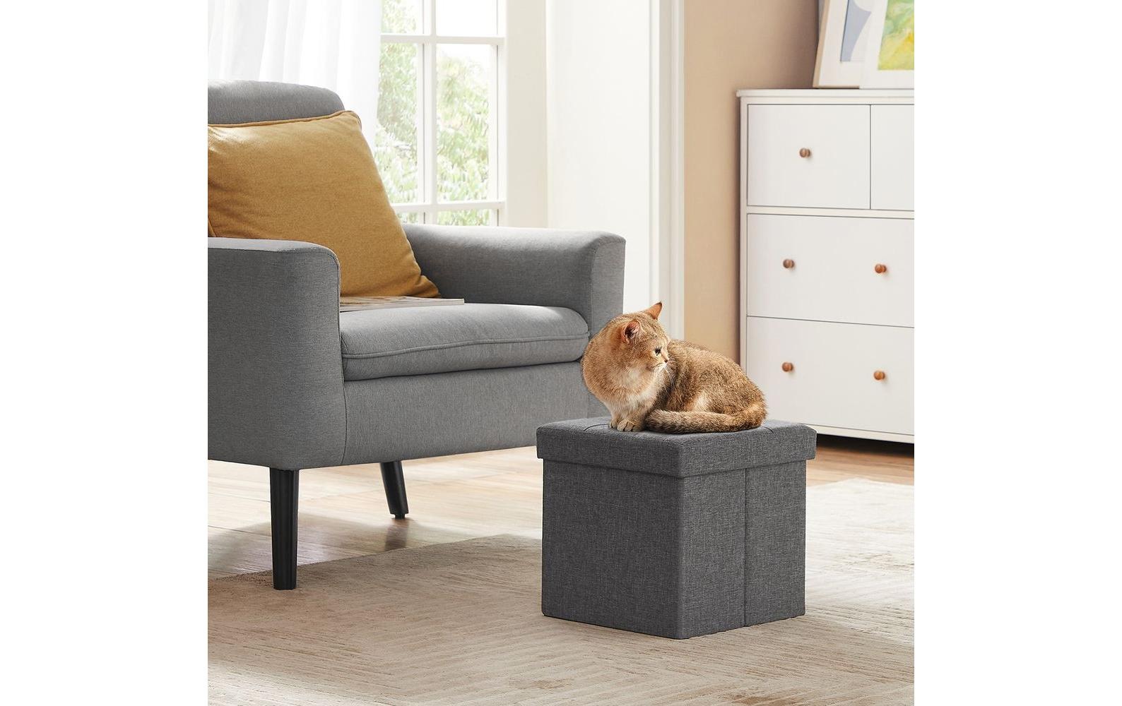 SONGMICS Sitztruhe »mit Aufbewahrung 30 x 30 cm«