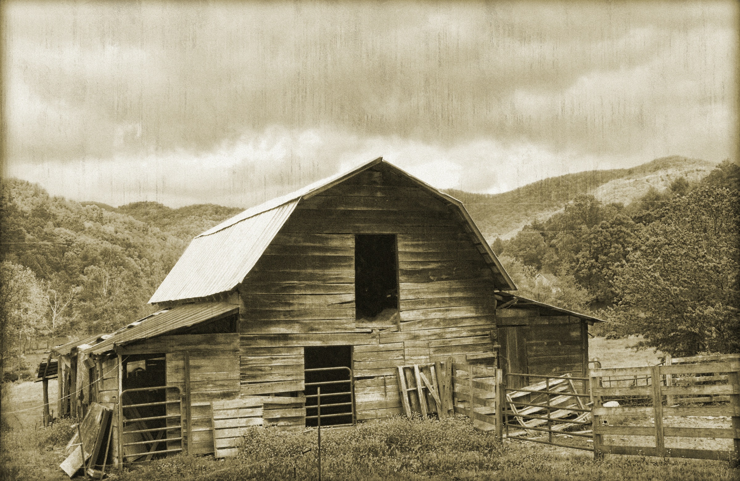 Image of Papermoon Fototapete »VINTAGE-NATUR LANDSCHAFT SCHWARZ WEIssBÄUME WANDBILD«, Vliestapete, hochwertiger Digitaldruck, inklusive Kleister bei Ackermann Versand Schweiz