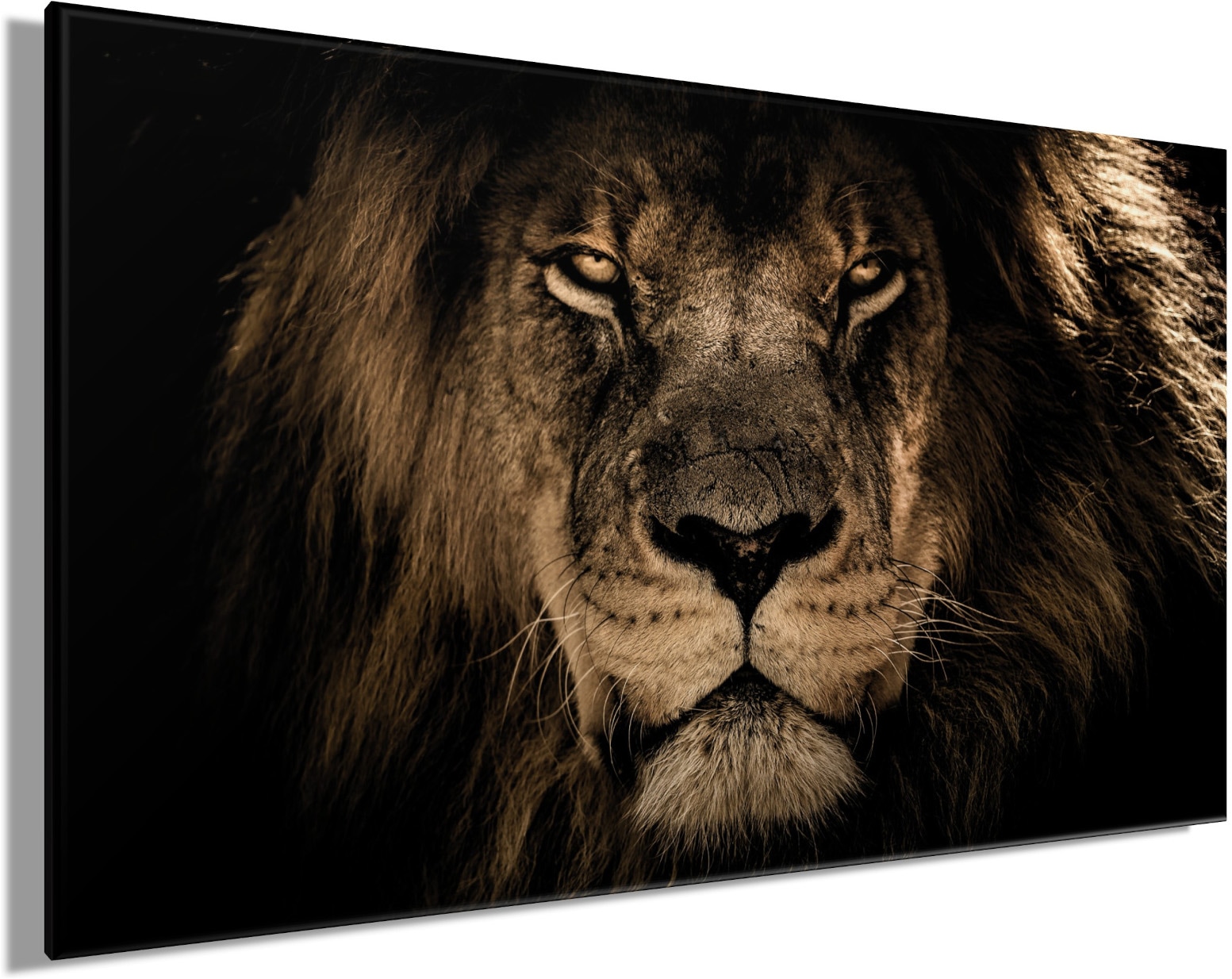 Bönninghoff Tableau sur toile »Wandbild LÖWENKOPF XXL 90x150 cm – Leinwandbild Keilrahmen Deko modern« Animaux sauvages | Lion | Lions 1 cuis tlg. tendu sur châssis