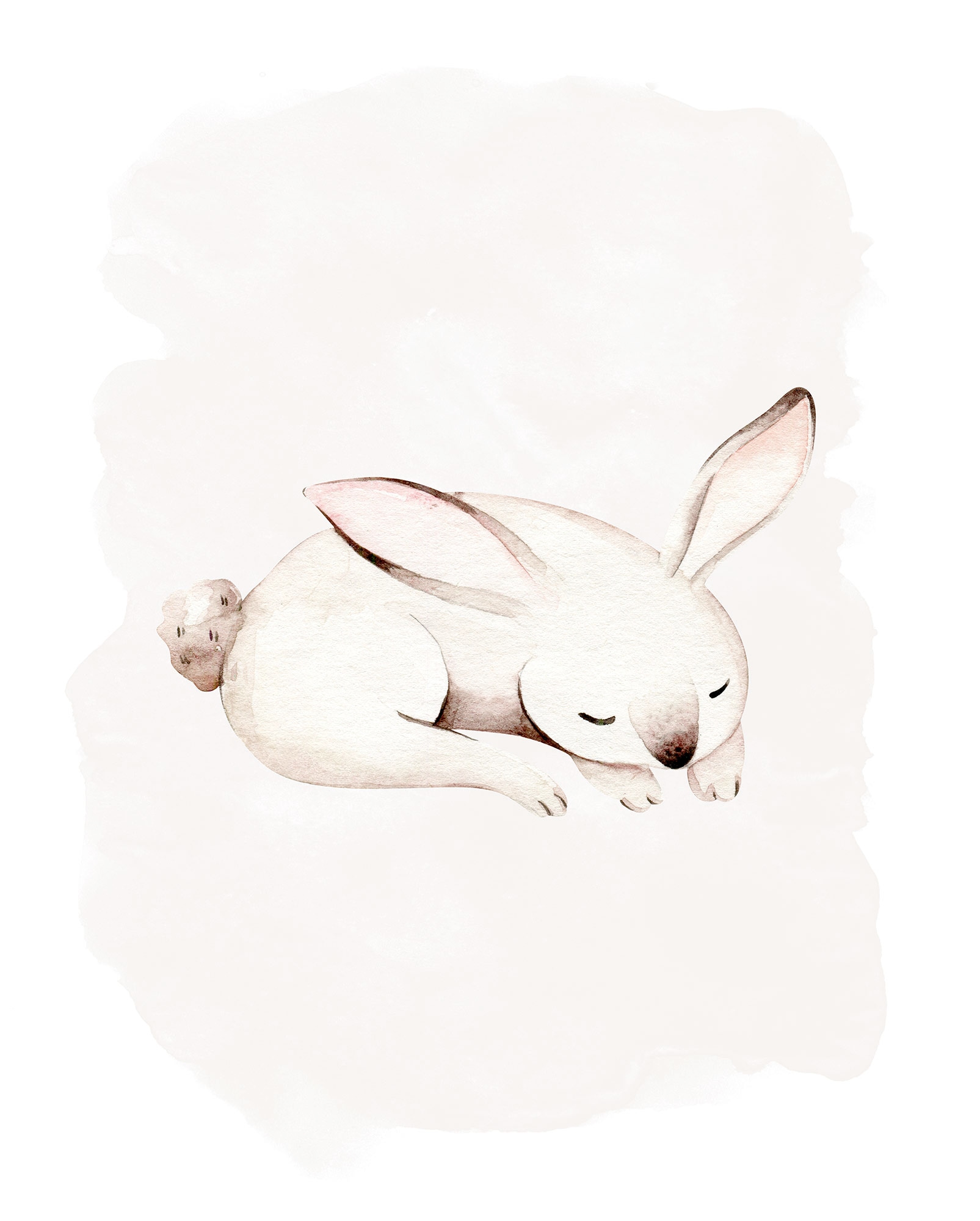 Komar Bild »Sleepy Bunny« Natur 1 Stk. tlg. Wandbild zur Dekoration - ohne Rahmen