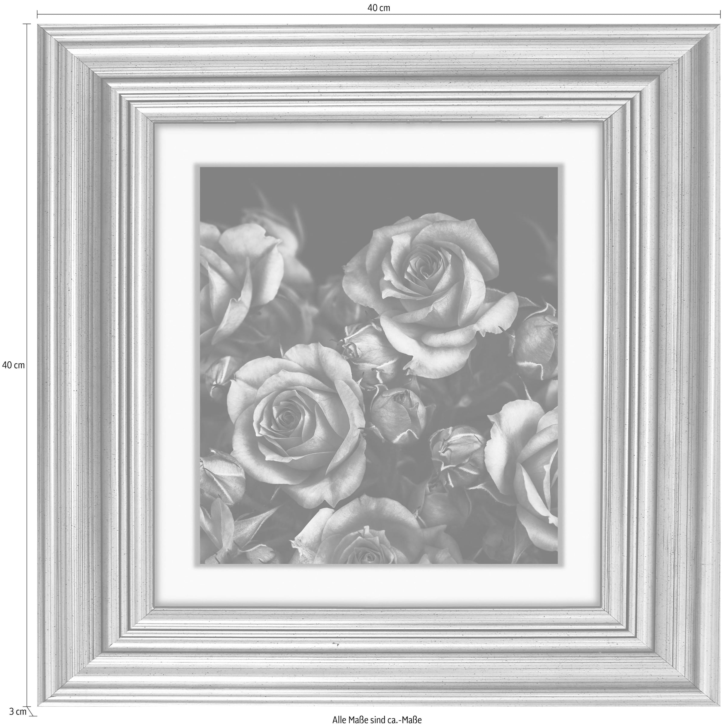 queence Acrylglasbild »Rosen Blüten«, Blumen-Blumenbilder-Kunst-Pflanzen-Pflanzenbilder-Gemälde, Fine Art-Print in Galeriequalität