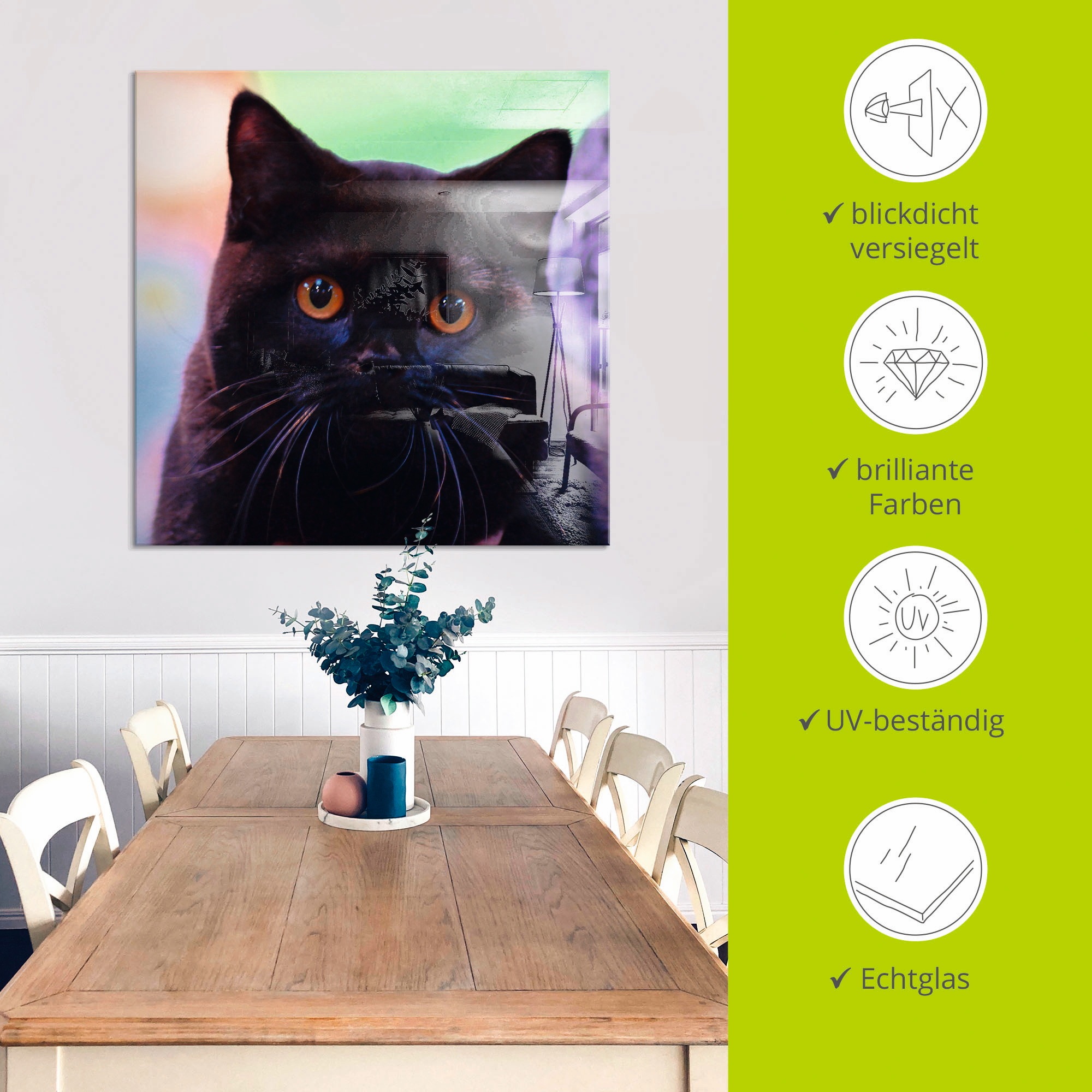 Artland Glasbild »Schwarze Britisch Kurzhaarkatze«, Haustiere, (1 St.), in verschiedenen Grössen