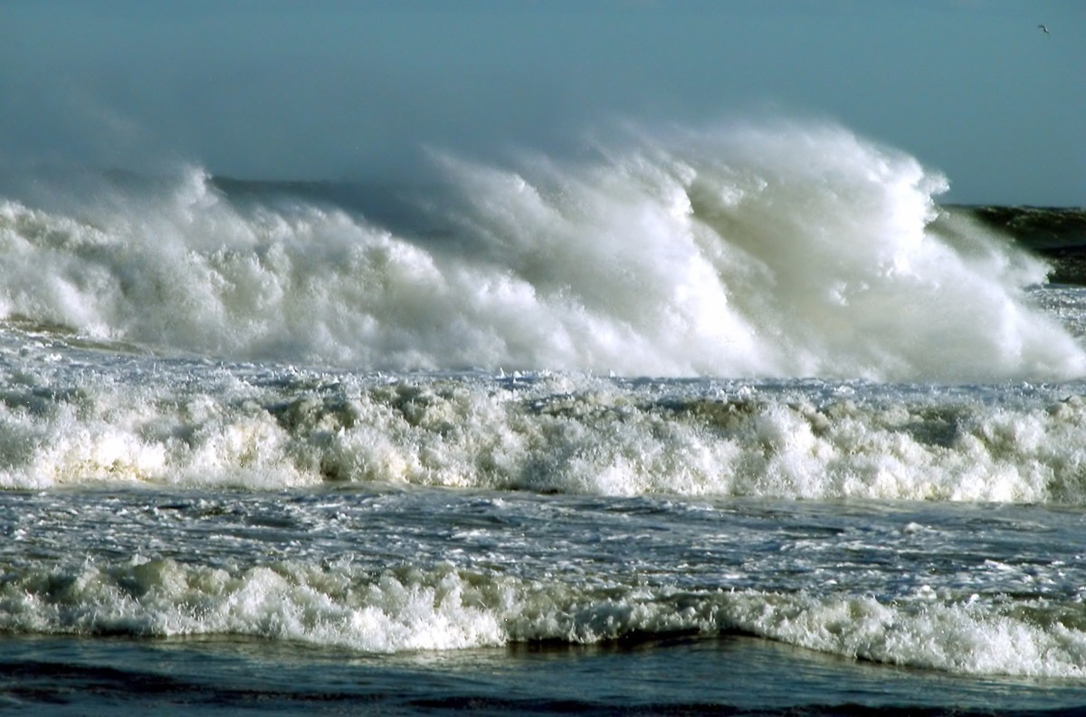 Image of Papermoon Fototapete »Naturkraft«, samtig, Vliestapete, hochwertiger Digitaldruck bei Ackermann Versand Schweiz