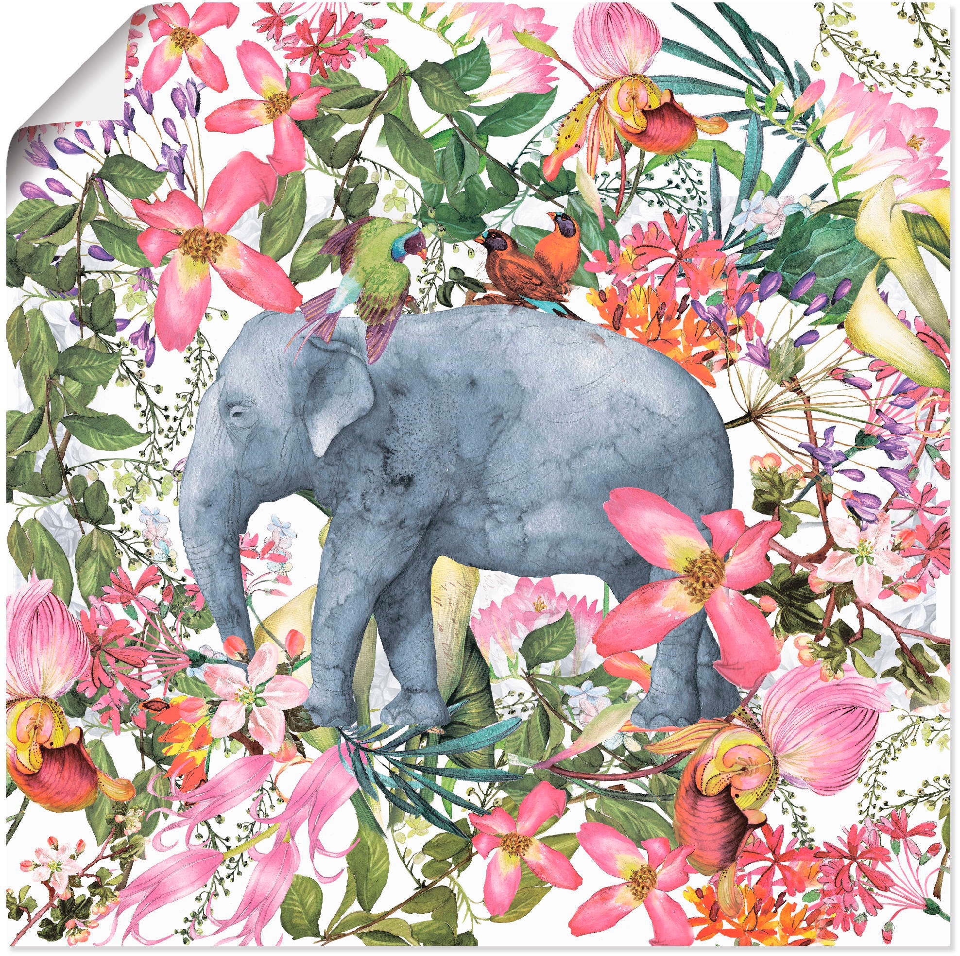 Wandaufkleber Artland (1 Wandbild Dschungel«, Poster kaufen Grössen versch. Wildtiere, günstig im als Leinwandbild, St.), Blüten oder Alubild, »Elefant in