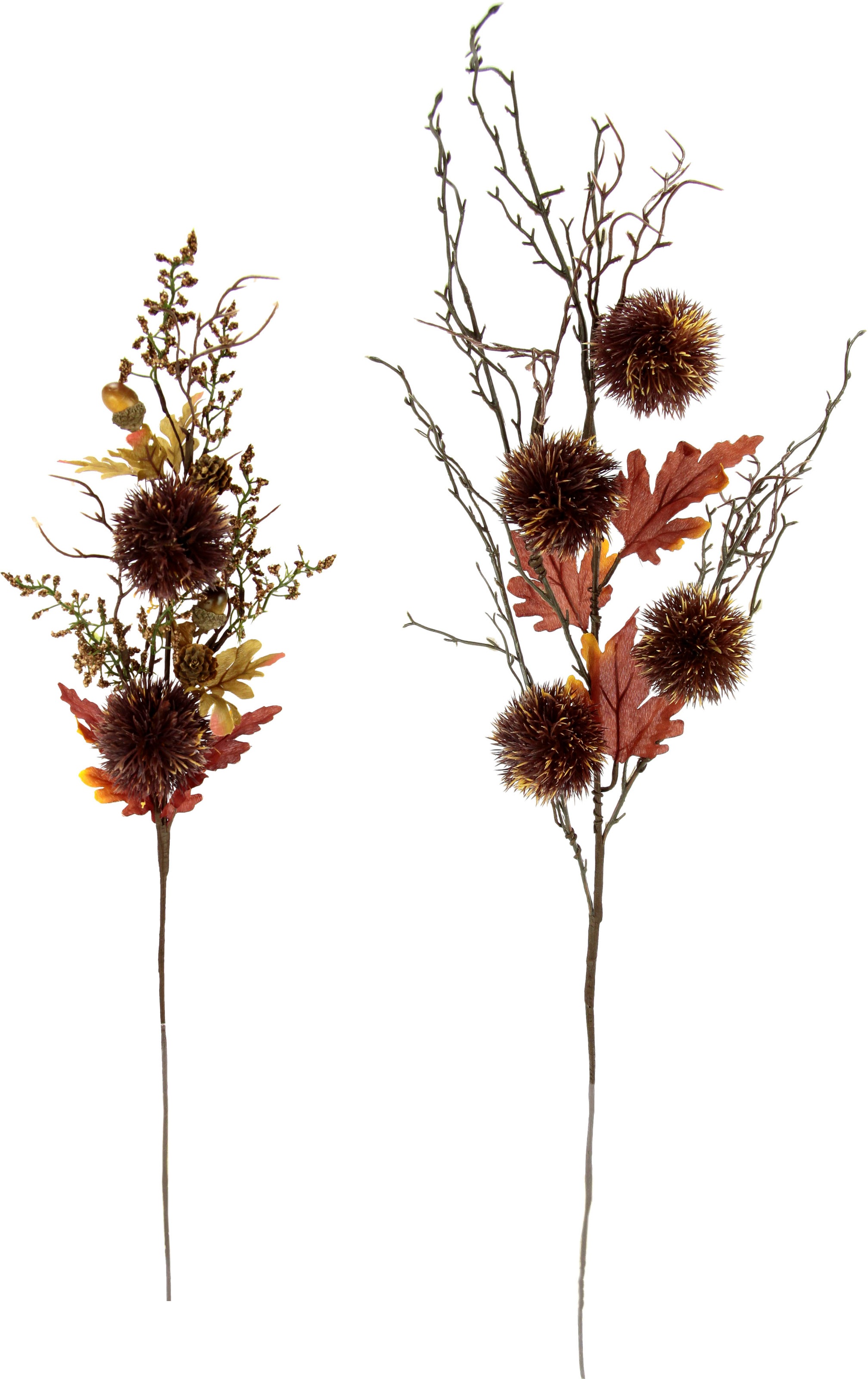 Image of I.GE.A. Kunstzweig »Kastanienzweige«, (2 St.), 2er Set bei Ackermann Versand Schweiz