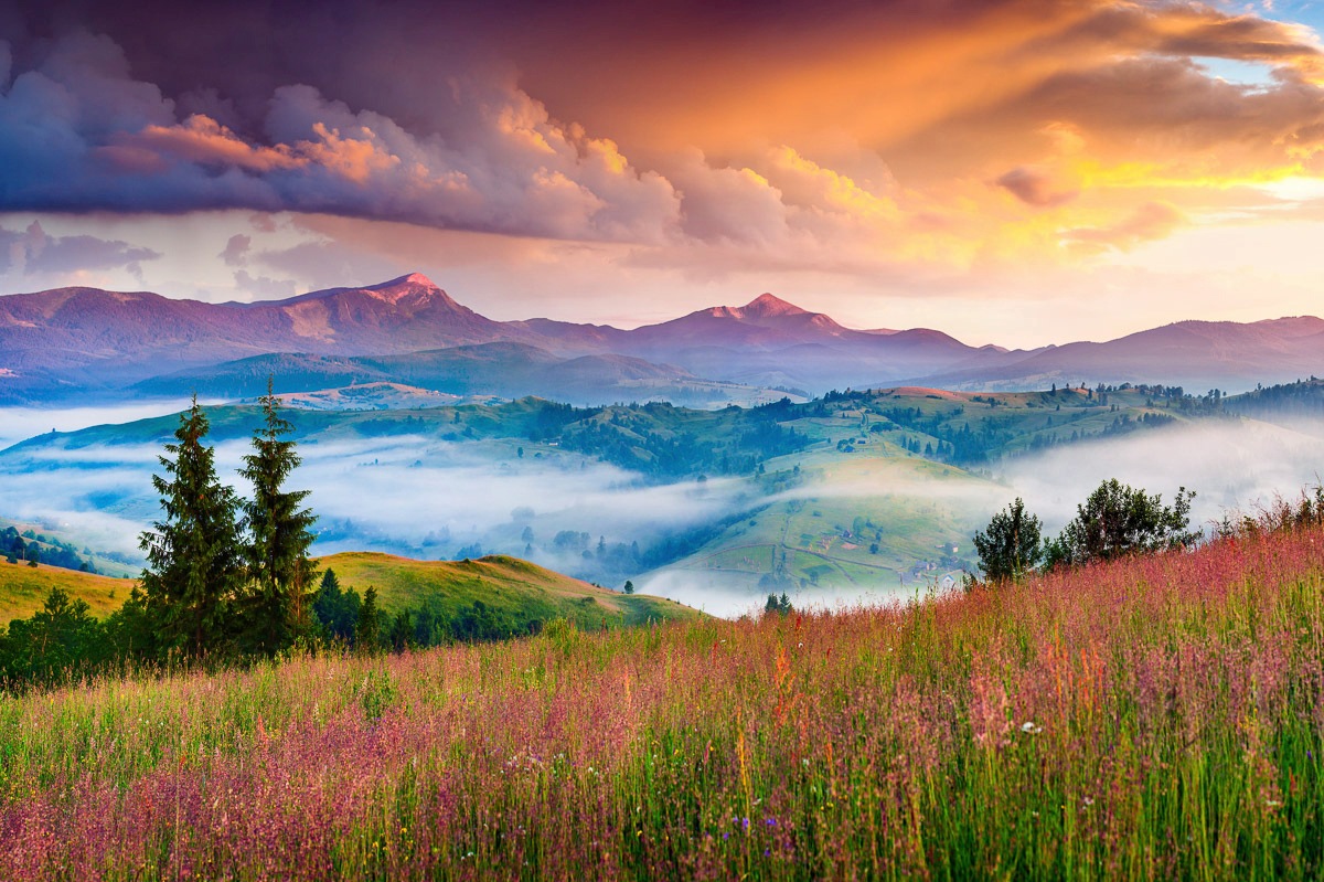 Image of Papermoon Fototapete »Blumen mit Windmühle«, Vliestapete, hochwertiger Digitaldruck, inklusive Kleister bei Ackermann Versand Schweiz