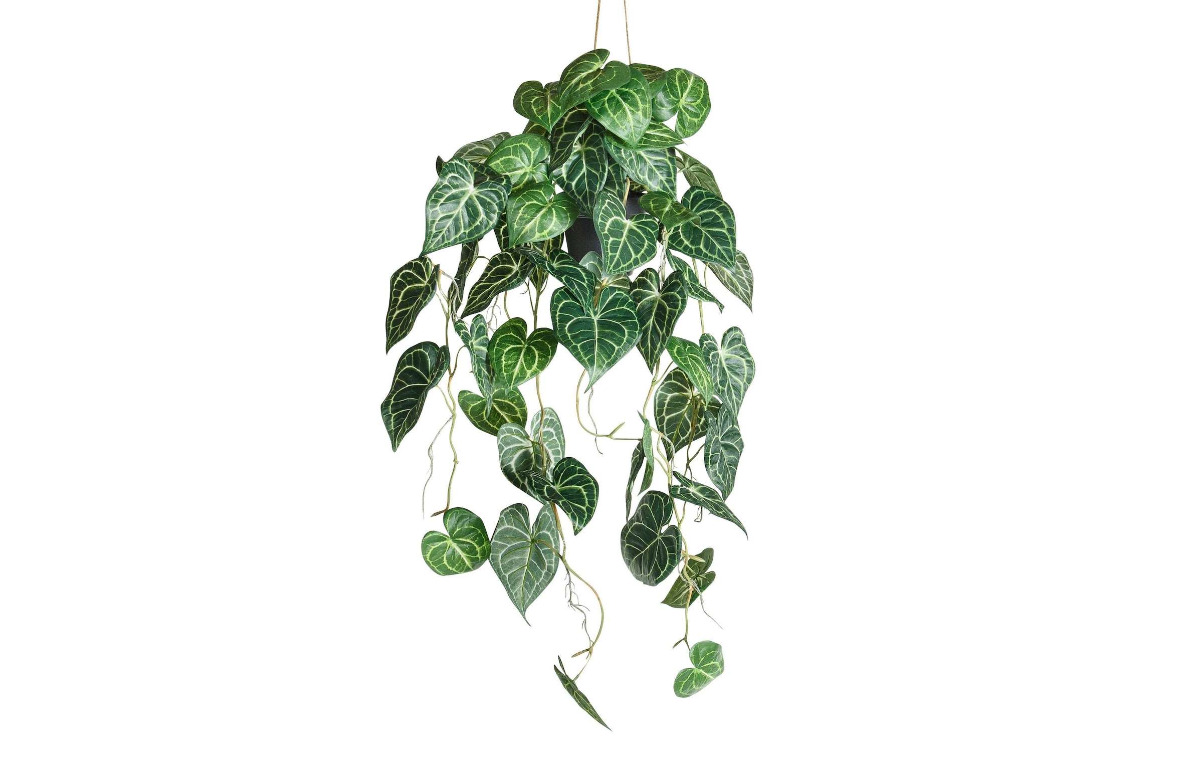 Image of Botanic-Haus Kunstblume "Anthurium hängend"