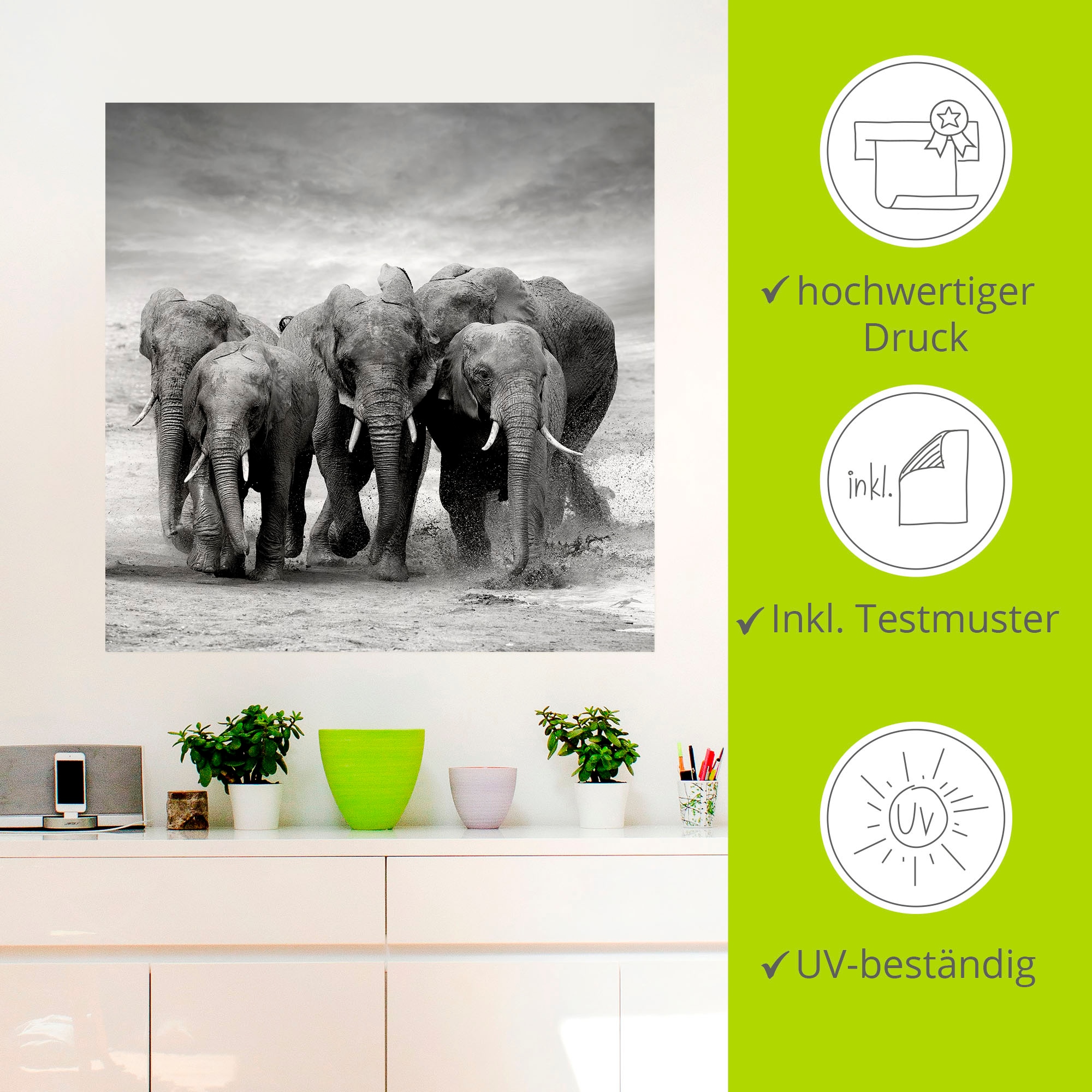 Artland Wandbild »Elefanten«, Wildtiere, (1 St.), als Leinwandbild, Poster, Wandaufkleber in verschied. Grössen