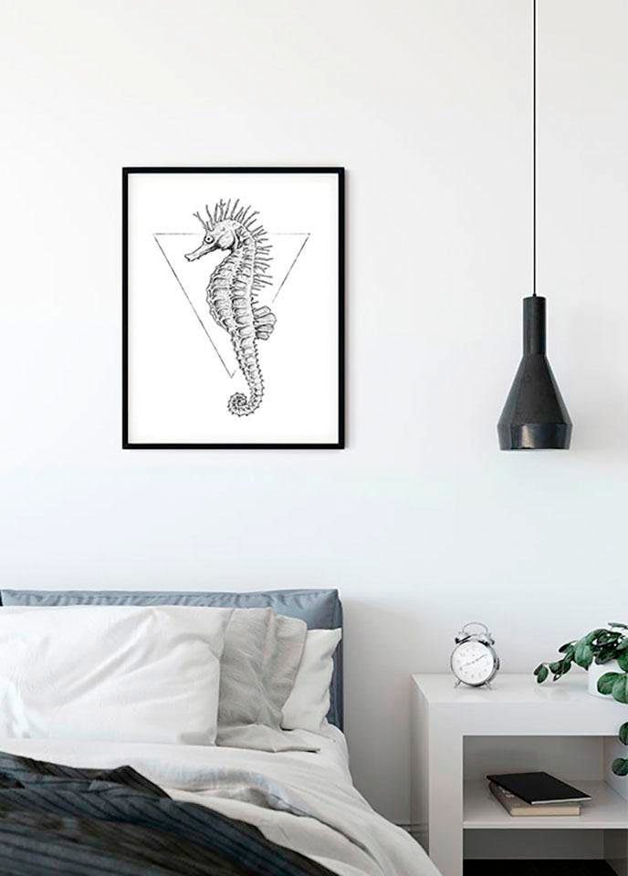 Image of Komar Bild "Sea Horse White" Tiere 1 Stk. tlg. Wandbild zur Dekoration - ohne Rahmen