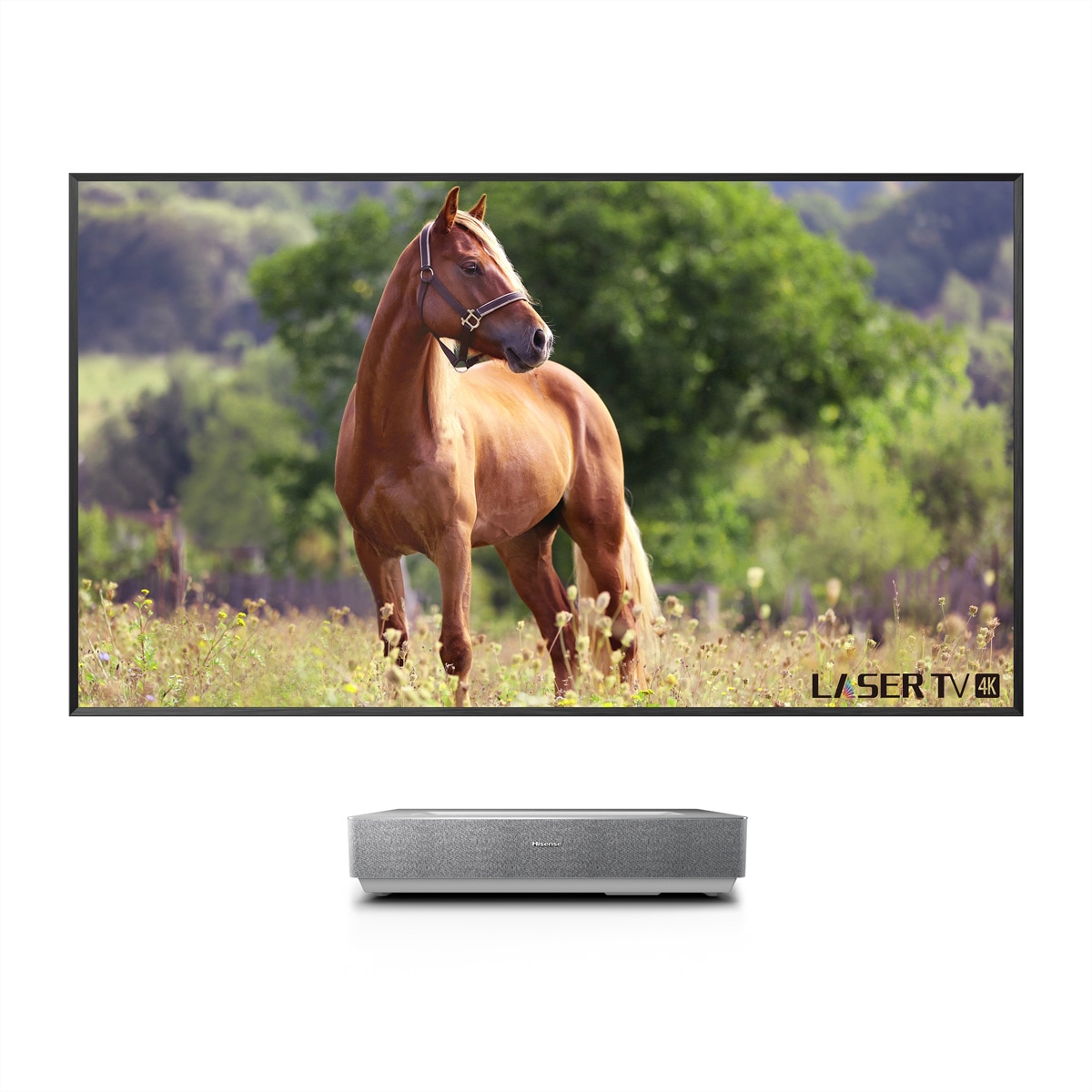 Hisense Beamer »Hisense Laser TV 100L5HD 100", UHD, 2600 Lumen, inkl. Leinwand«