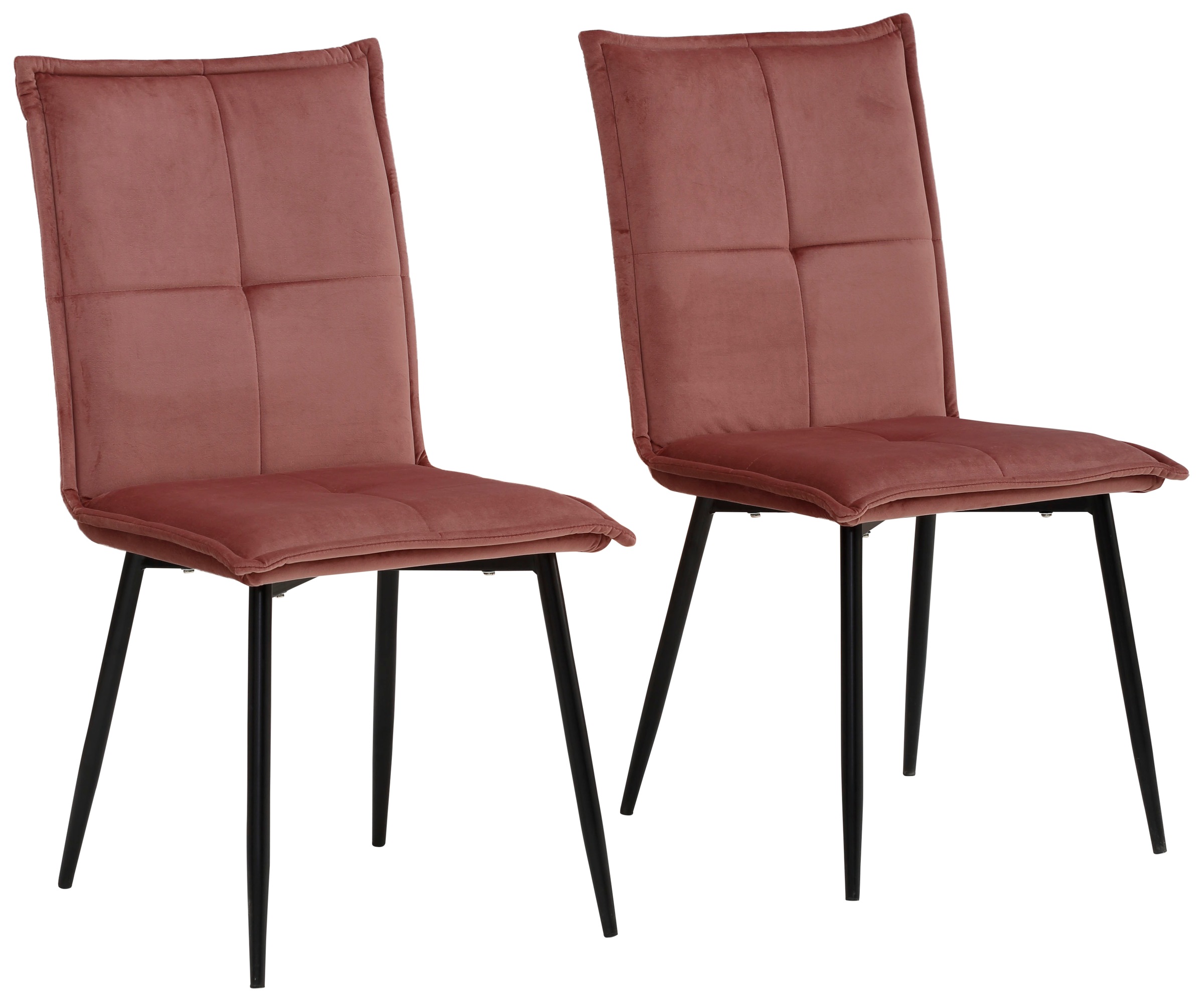 Image of my home Esszimmerstuhl »Meila«, (Set), 2 St., Samtvelours, mit einem schönen pflegeleichtem Samtvelours Bezug und schwarzen Metallbeinen bei Ackermann Versand Schweiz