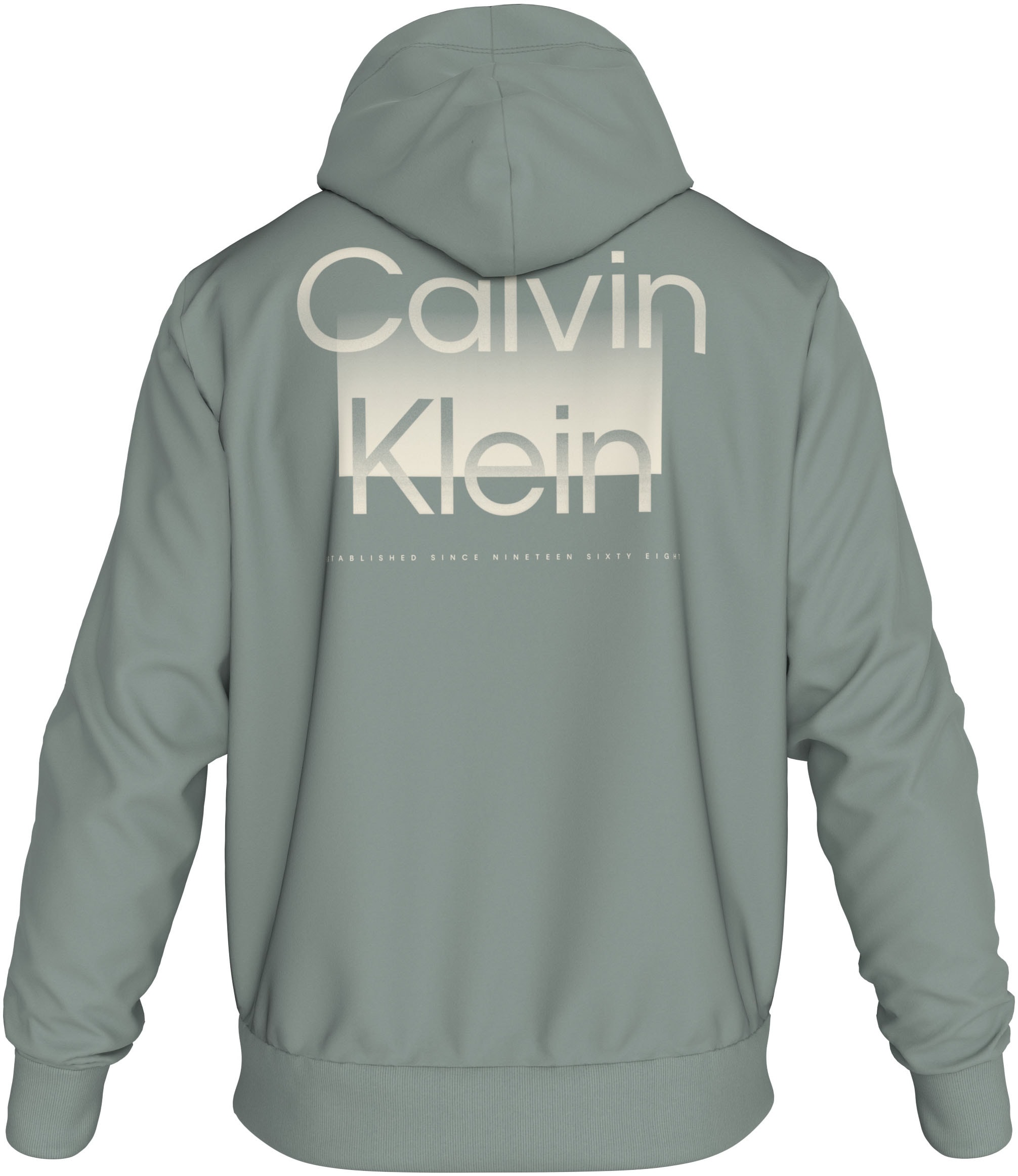 Calvin Klein Big&Tall Kapuzensweatshirt »BT_ENLARGERD BACK LOGO HOODIE«, in grossen Grössen mit Markenlabel