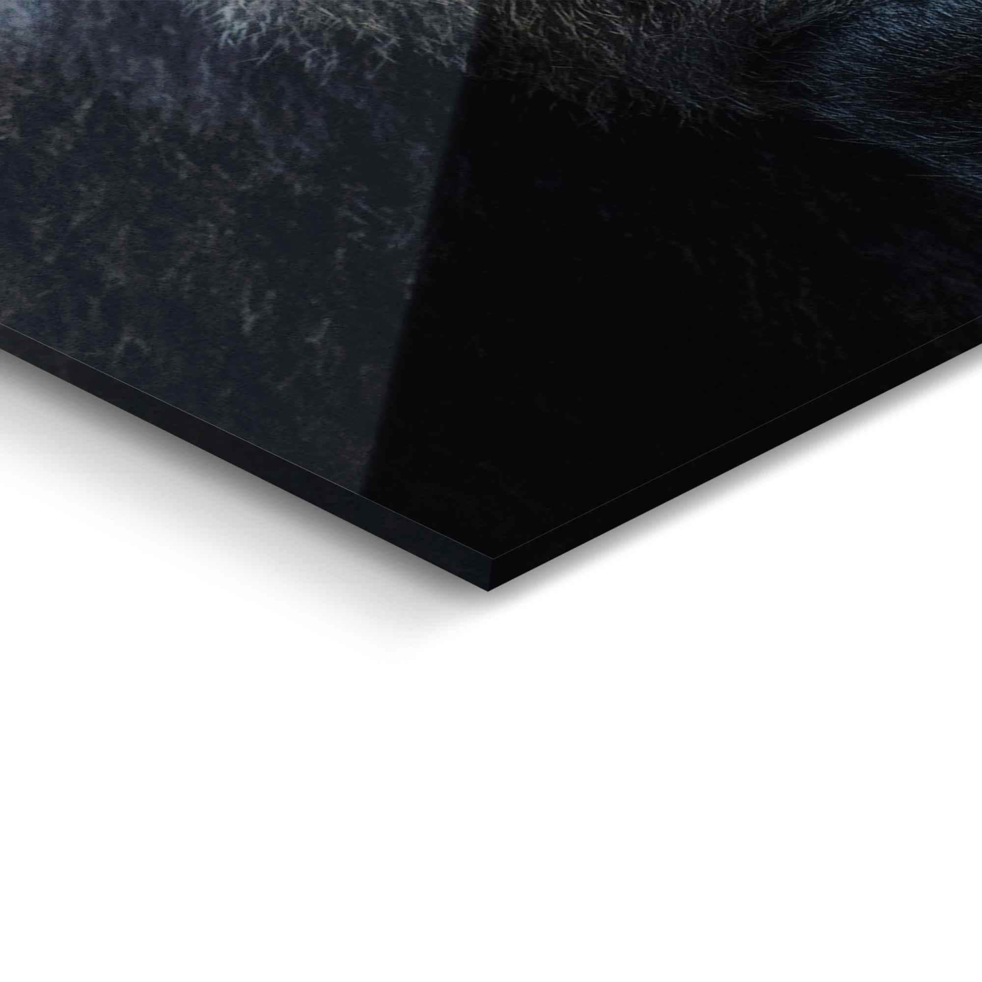 Reinders! Glasbild »Glasbild Gorilla Affe - Kräftig - Nachdenklich«, Affen, (1 St.)