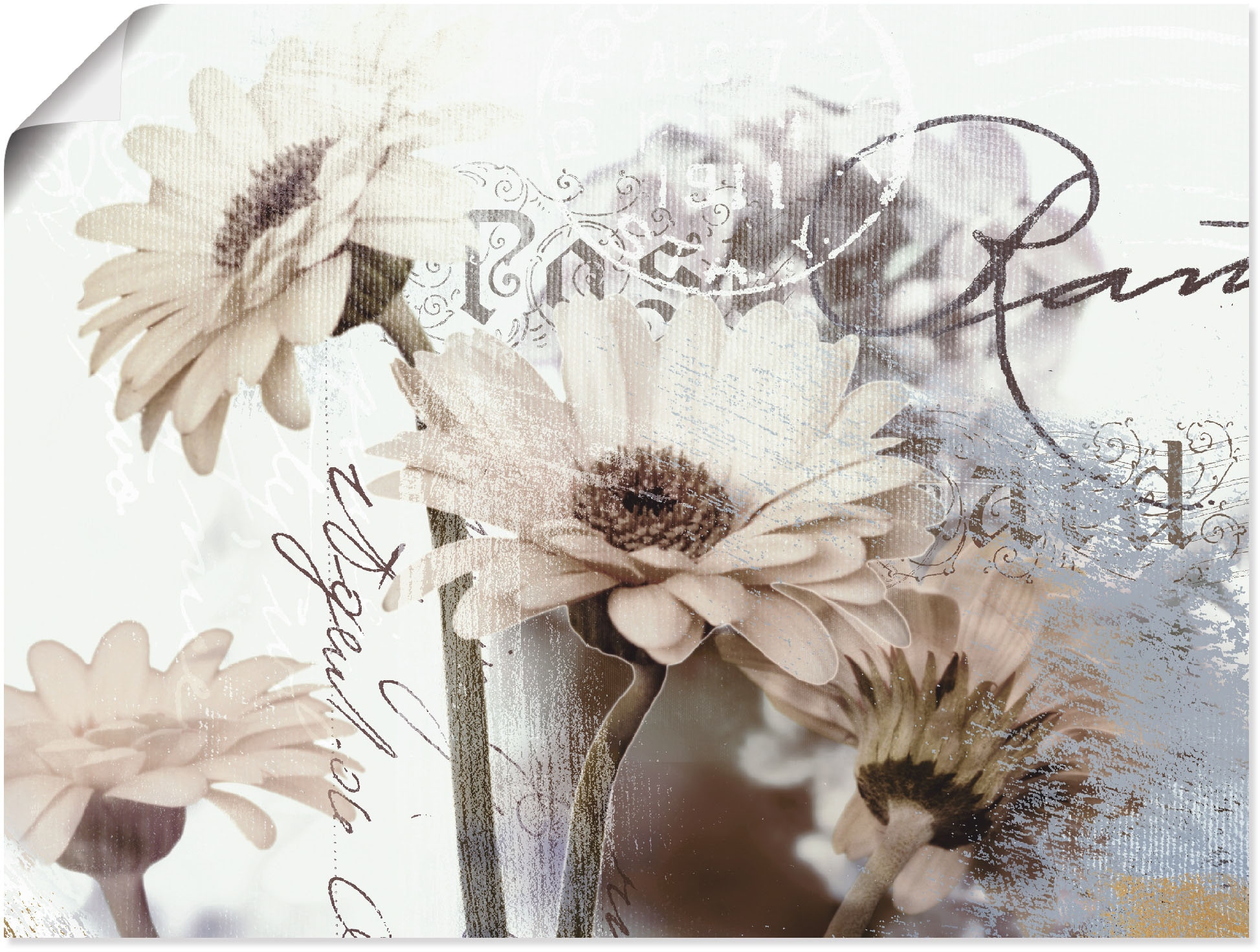 Artland Wandbild »Gerberas_Detail«, Blumenbilder, (1 St.), als  Leinwandbild, Wandaufkleber oder Poster in versch. Grössen