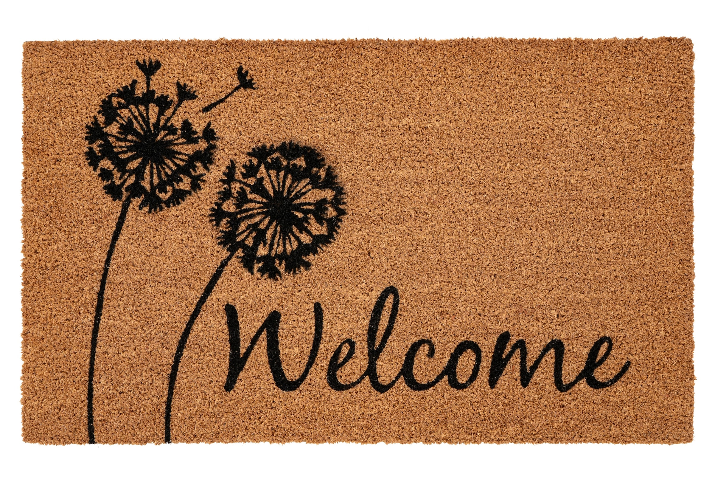 Kayoom Tapis de sol »Natural Guard 225« Rectangulaire 17,5 mm Höhe Türmatte, Eingang, Kokos