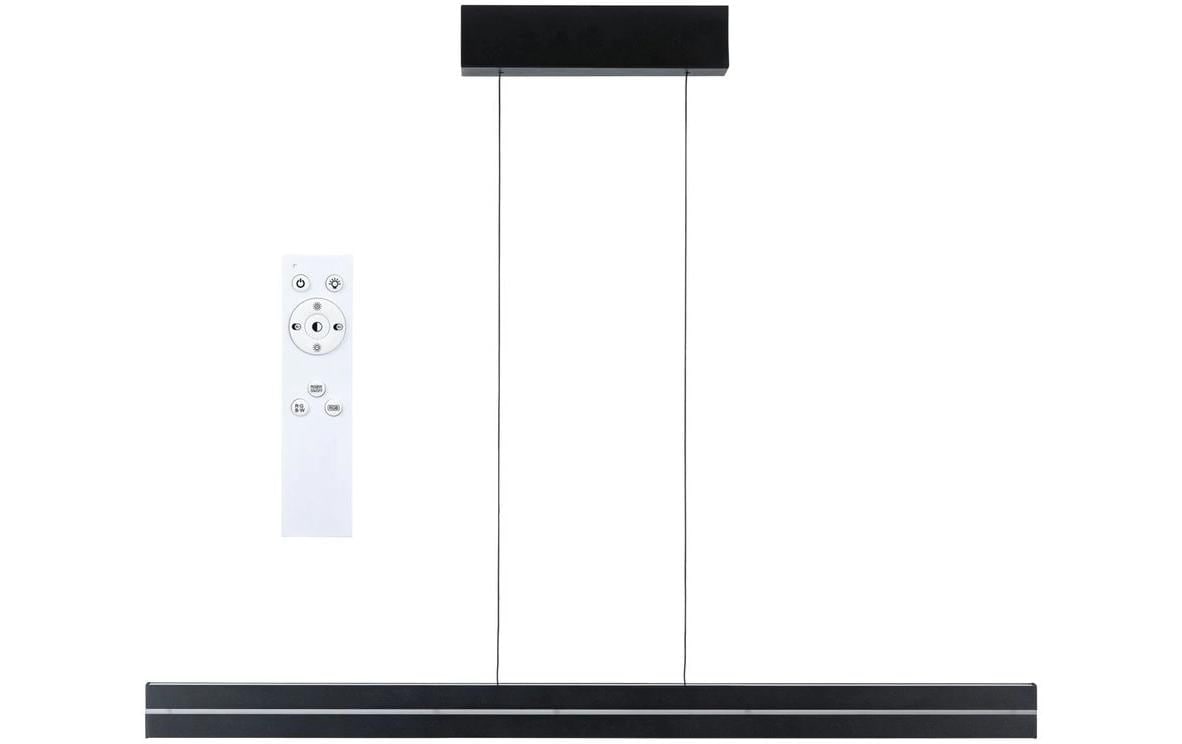 Paulmann Pendelleuchte »LED Pendelleuchte Raiko« LED-Modul RGB | warmweiss - kaltweiss
