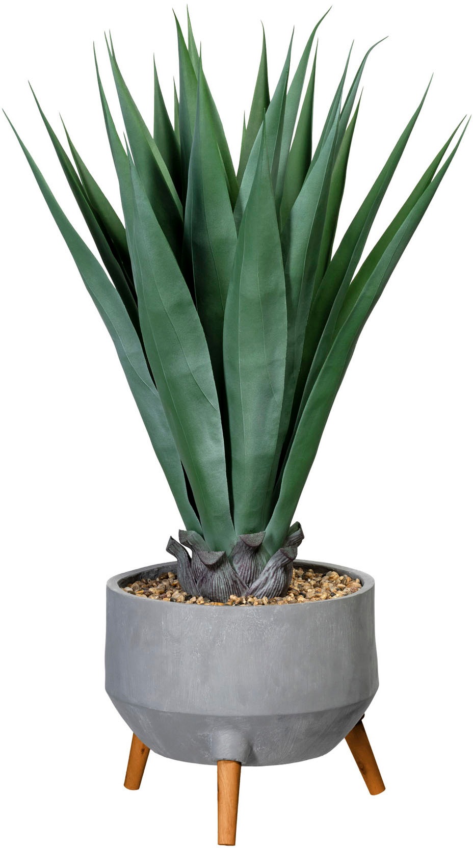 Image of Creativ green Künstliche Zimmerpflanze »Agave«, (1 St.), in Fibreclayschale bei Ackermann Versand Schweiz