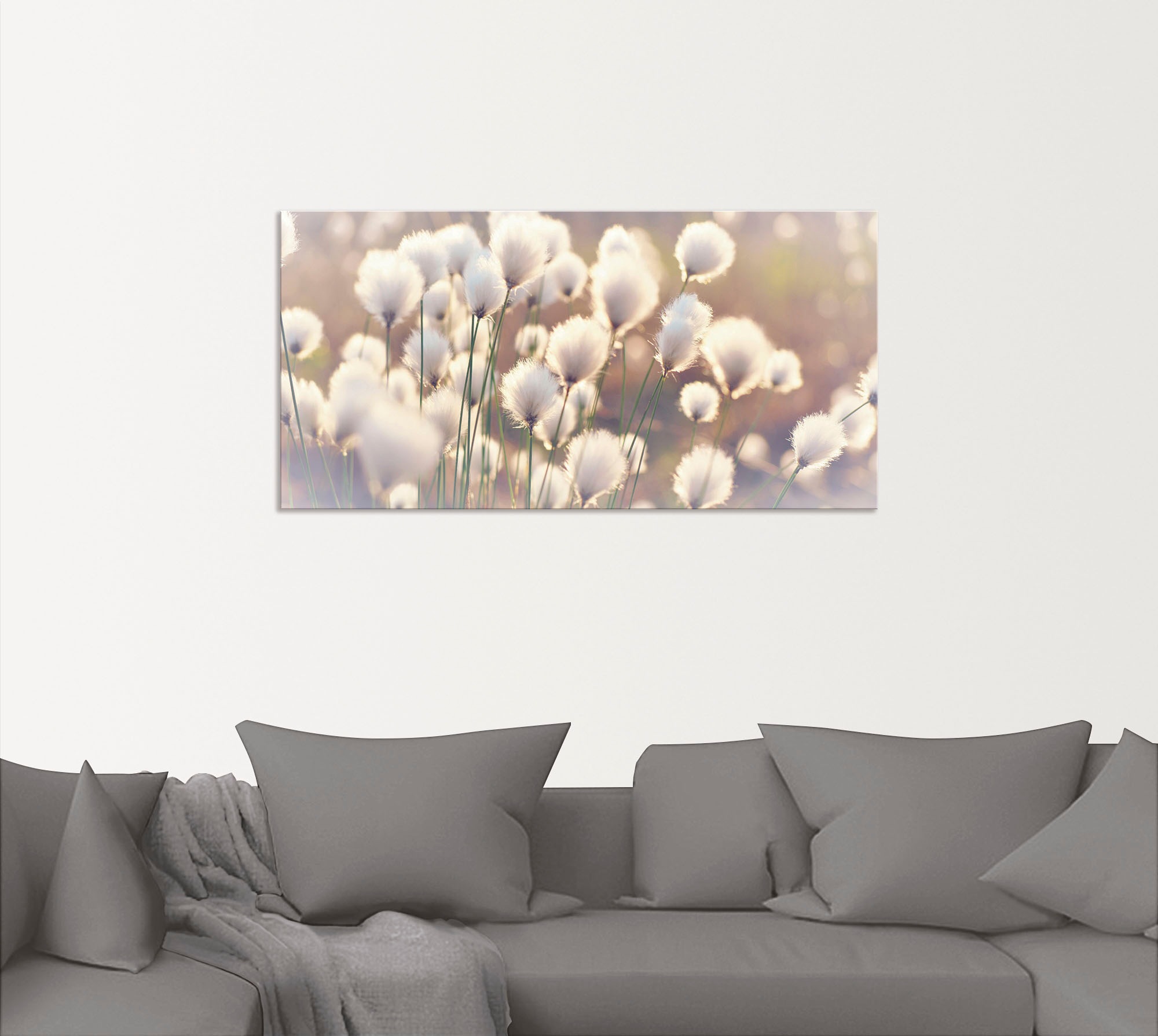 Artland Wandbild »Wollgraszauber im Moor«, Gräser, (1 St.), als Alubild, Outdoorbild, Leinwandbild, Poster, Wandaufkleber