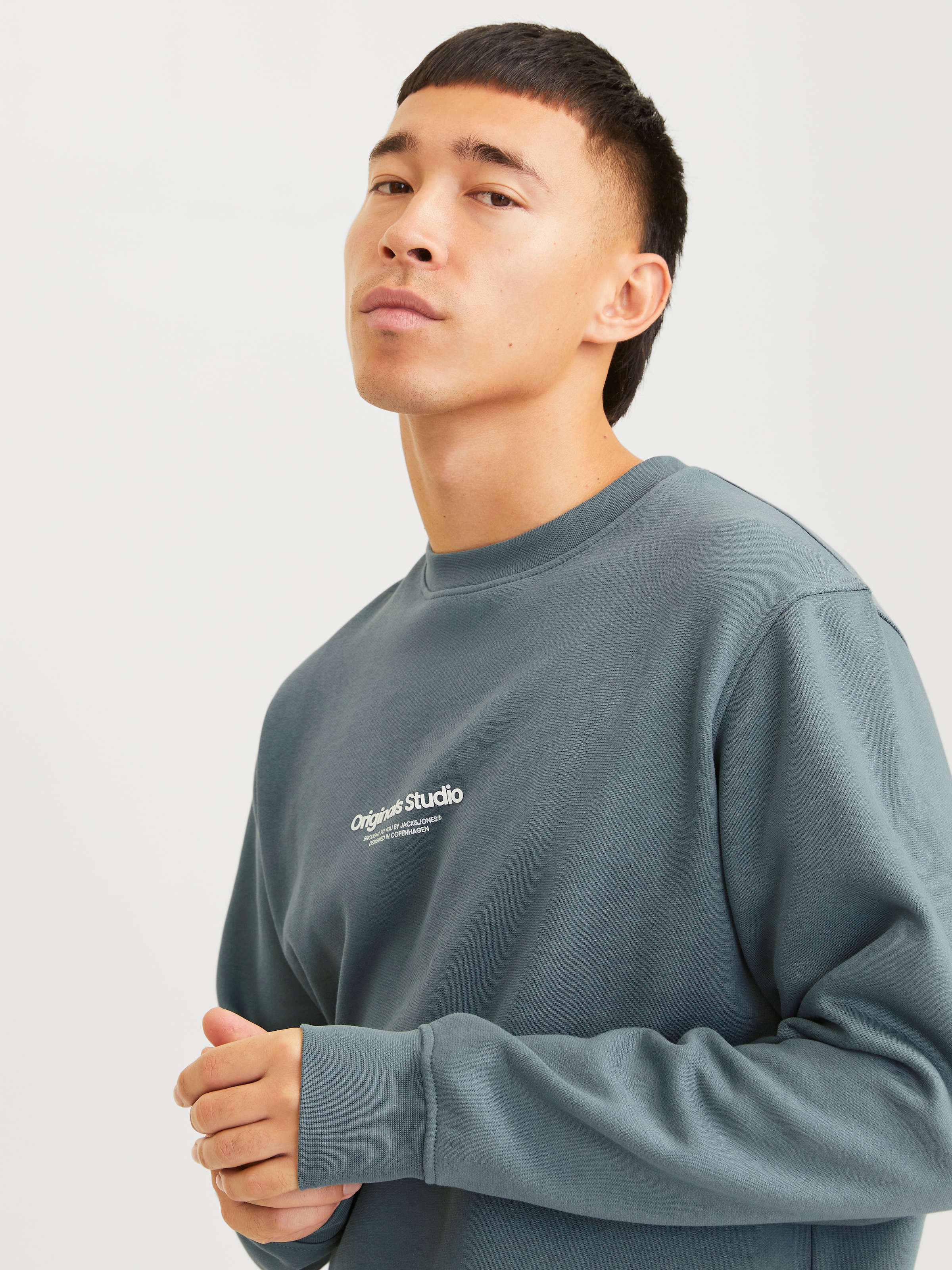 Jack & Jones Sweatshirt »JORVESTERBRO SWEAT CREW NECK NOOS«