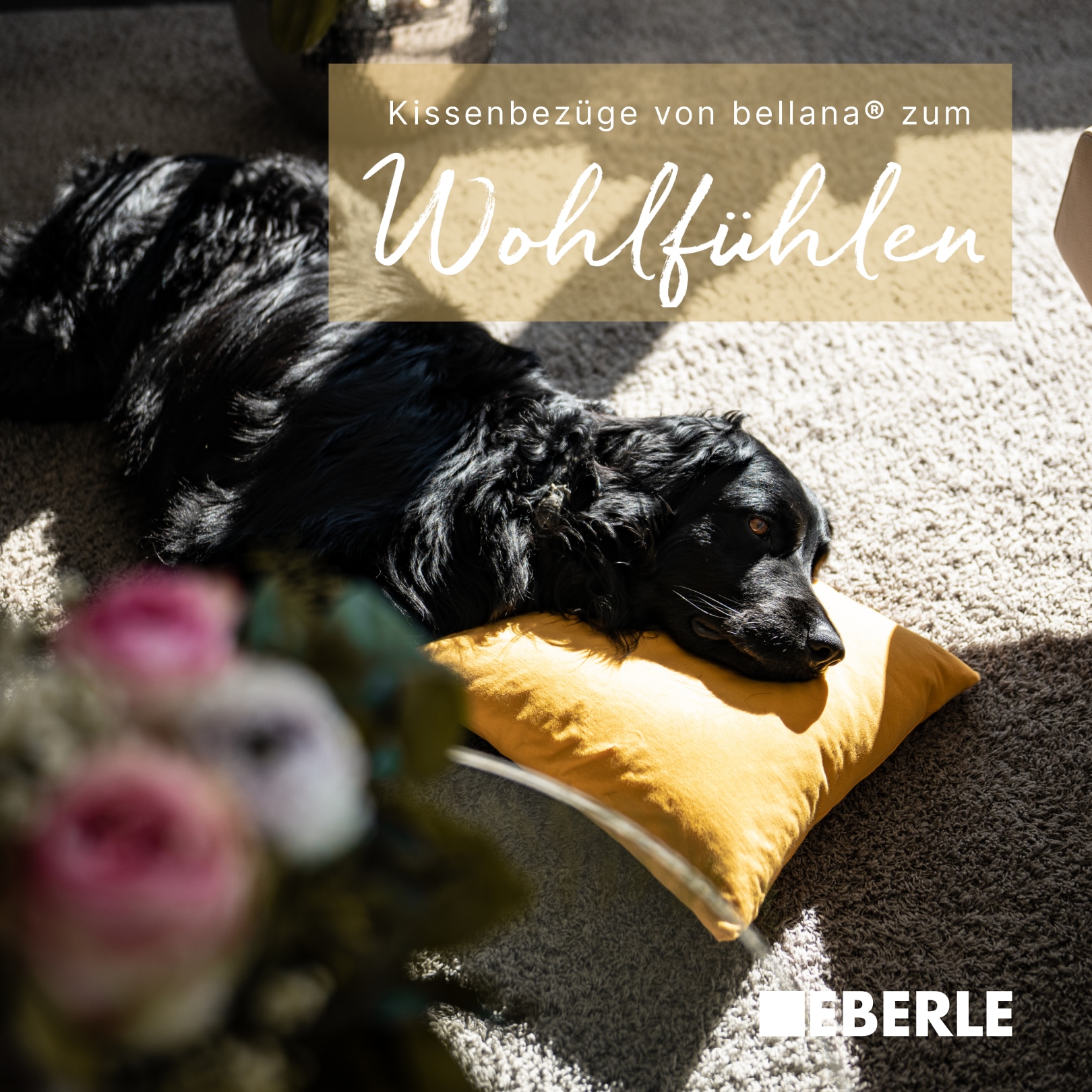 bellana Housse de coussin »Mako-Jersey-Exclusiv« aus reiner Baumwolle