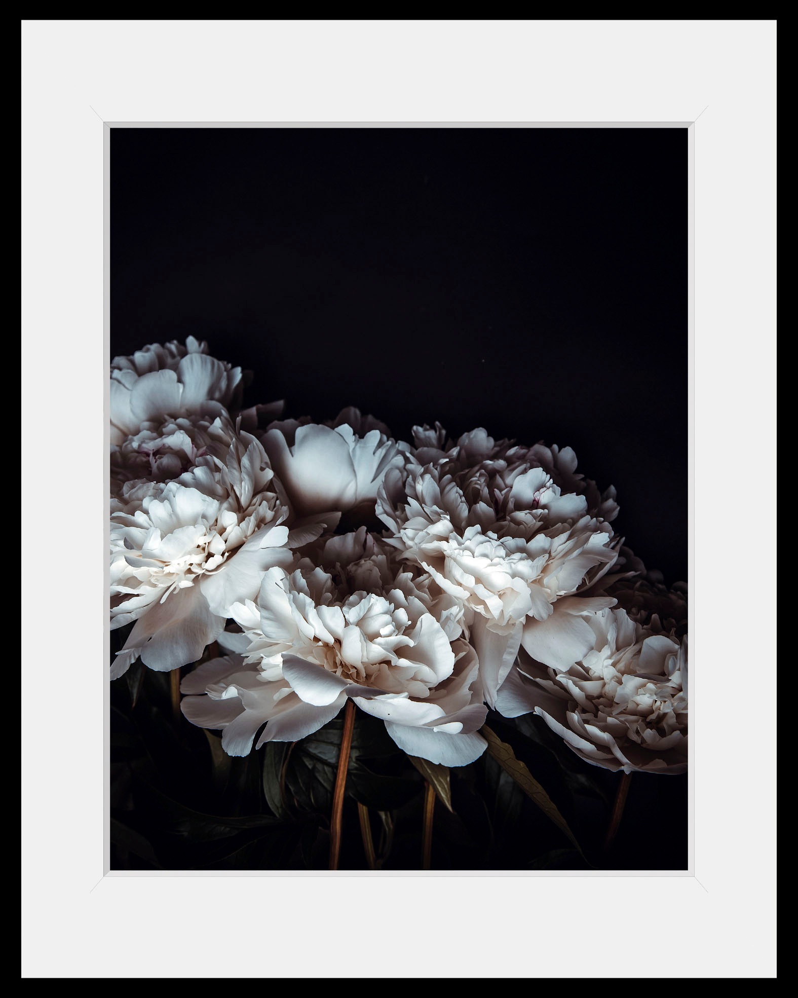 Image of queence Bild »Ella«, Blumen, (1 St.) bei Ackermann Versand Schweiz