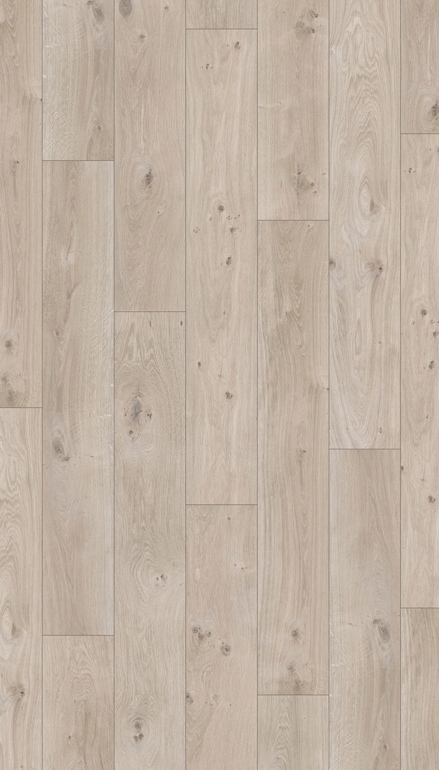 Image of PARADOR Laminat »Basic 200 - Eiche Natur«, (Packung), Kantenimprägnierung, 1285 x 194 mm, Stärke: 7 mm bei Ackermann Versand Schweiz