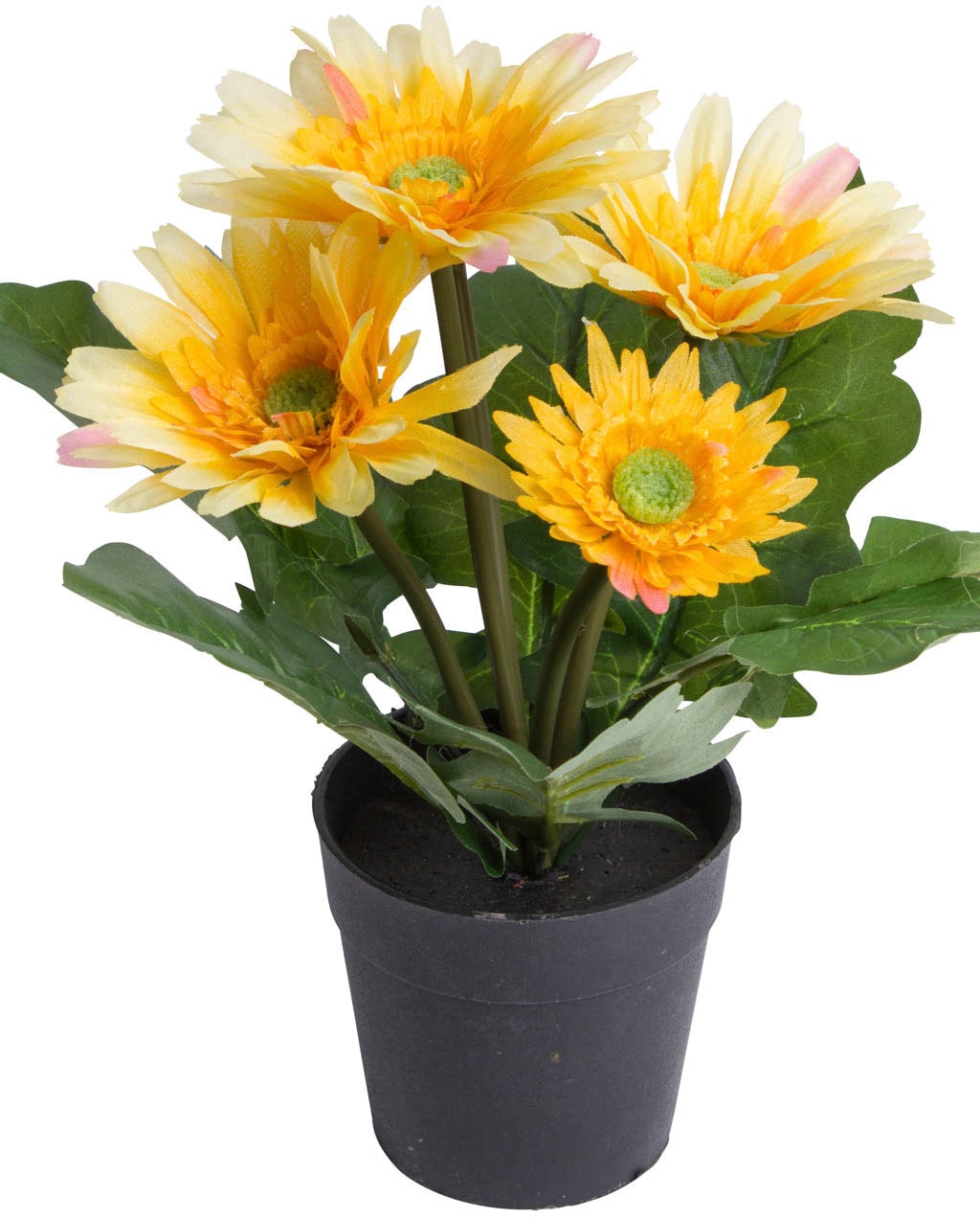 Botanic-Haus Kunstblume »Gerbera mit günstig 5 Blüten« kaufen