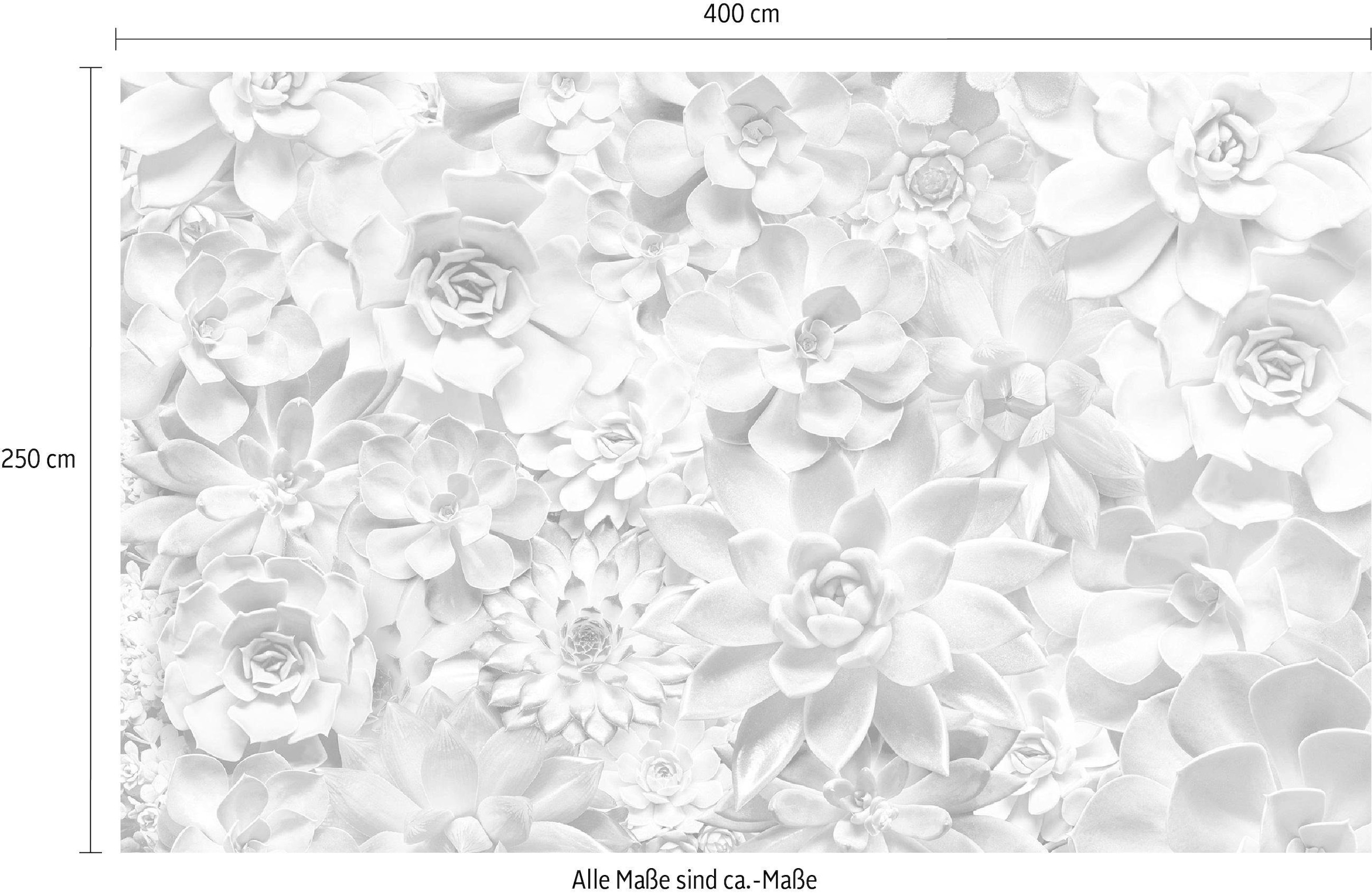 Komar Vliestapete »Digitaldruck Vlies - Shades Black and White - Grösse 400 x 250 cm«, bedruckt, Wohnzimmer, Schlafzimmer