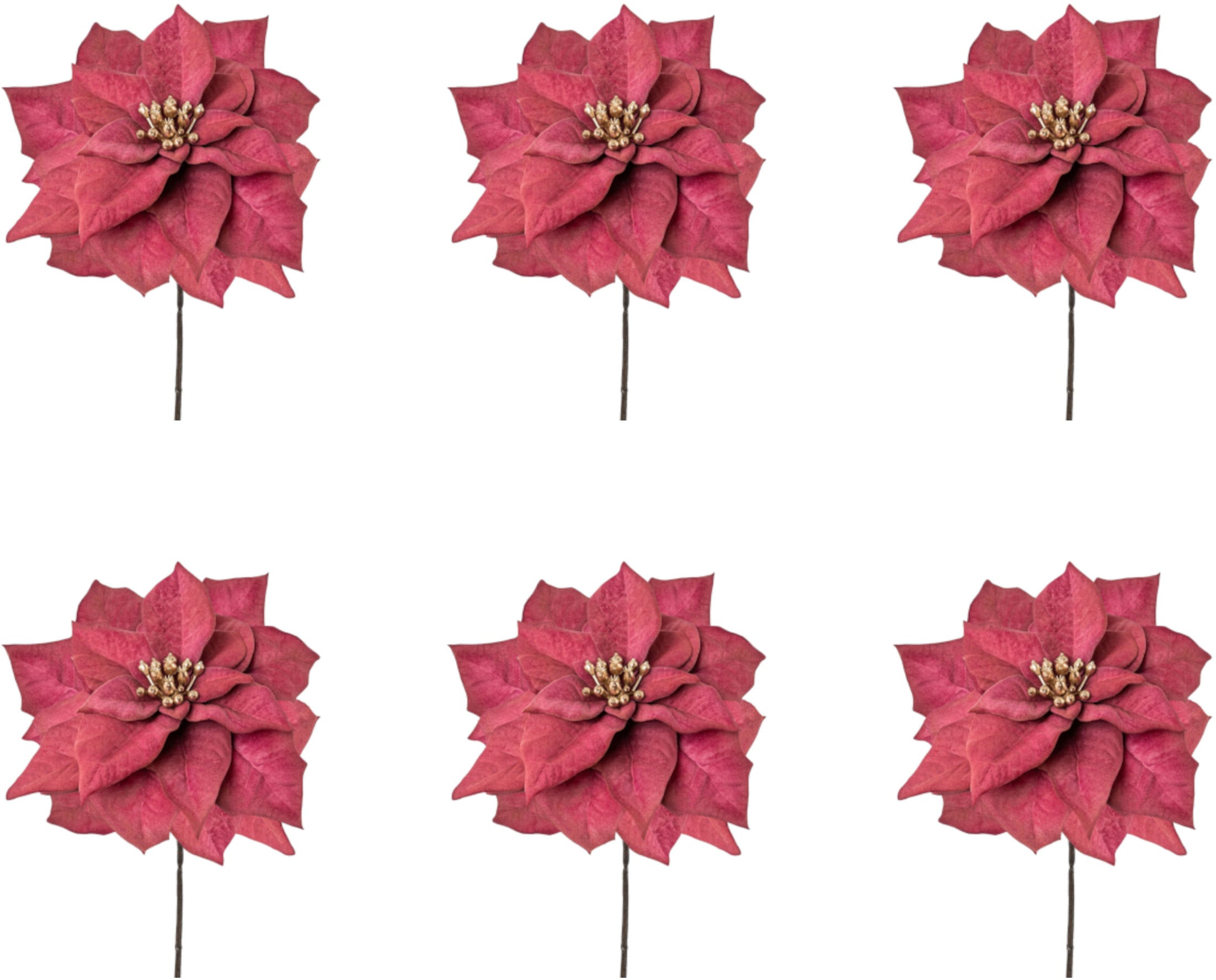 Creativ green Winterliche Kunstpflanze »Weihnachtsdeko rot«, mit  goldfarbenfarbenem Blütenkelch, 6er-Set kaufen
