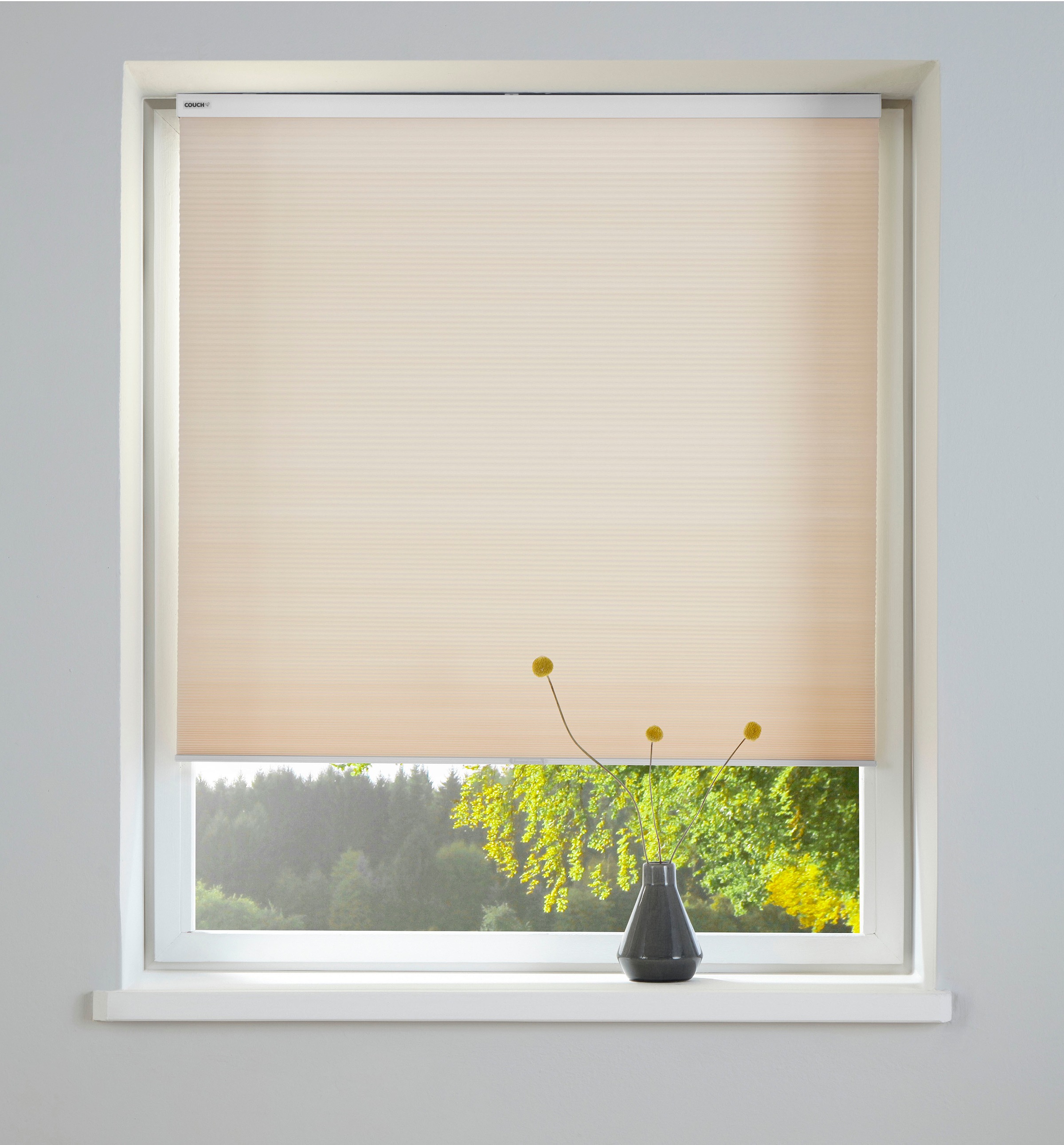 Image of COUCH♥ Plissee »Alter Falter«, Lichtschutz, mit Bohren, freihängend, schnurlos bei Ackermann Versand Schweiz