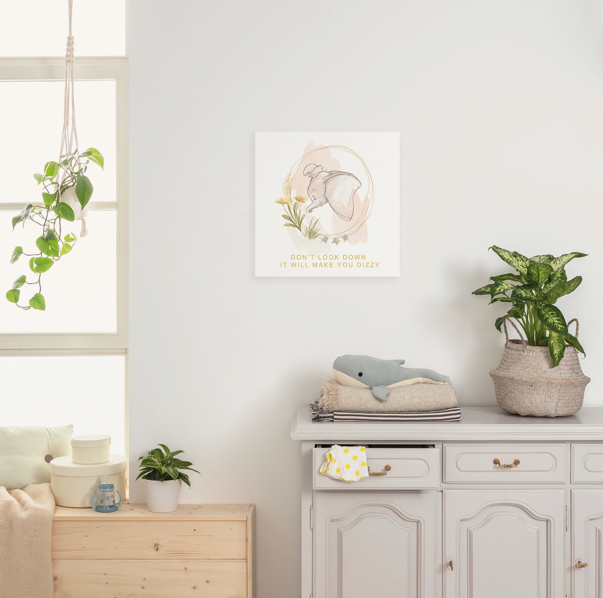 Image of Komar Leinwandbild "Disney Dumbo Dont Look Down" Disney 1 Stk. tlg. 40 x 40 cm (Breite x Höhe) - Kinderzimmer, Dekoration