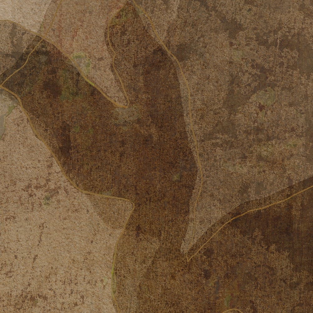 Komar Papier peint photo »Vlies Fototapete - Petal Whispers - Grösse 300 x 250 cm« imprimé