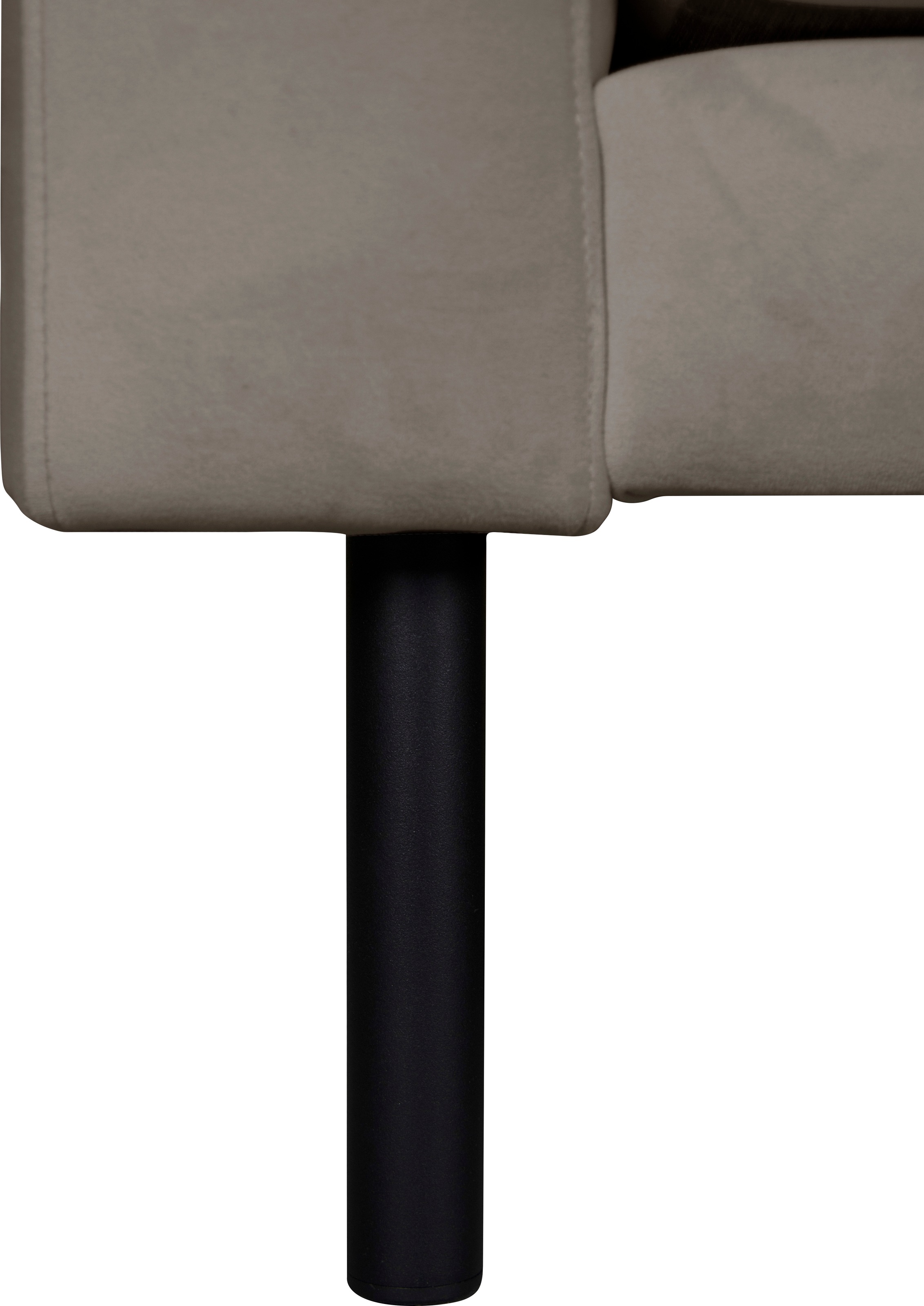 Guido Maria Kretschmer Home&Living 2-Sitzer »Lillibeth Designsofa mit Wellenunterfederung, Masse B/T/H: 155/74/83 cm«, Zierkissen als Wendekissen, in Samtoptik oder Cord