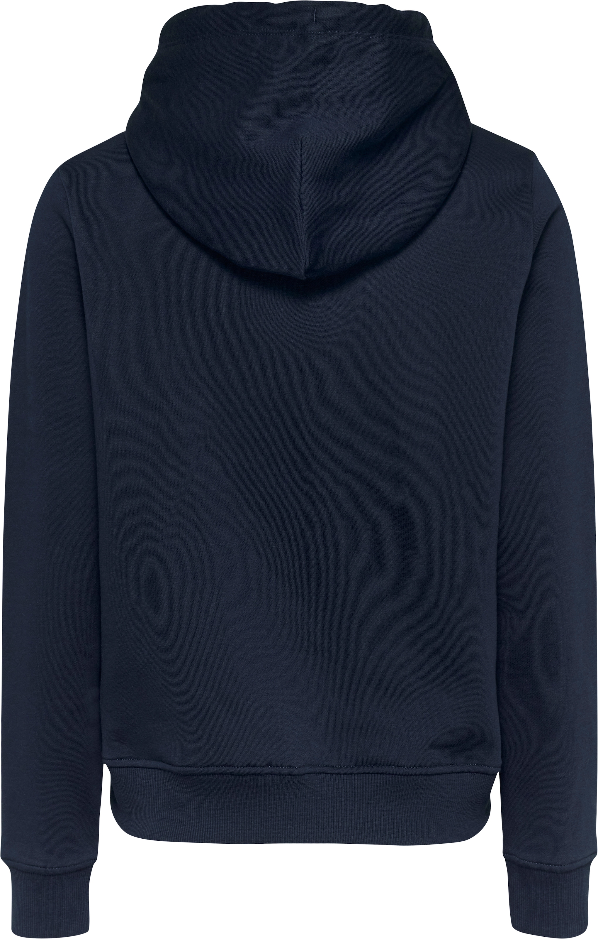 Tommy Jeans Kapuzensweatshirt »TJW REG LINEAR HOODIE«, mit Logoschriftzug