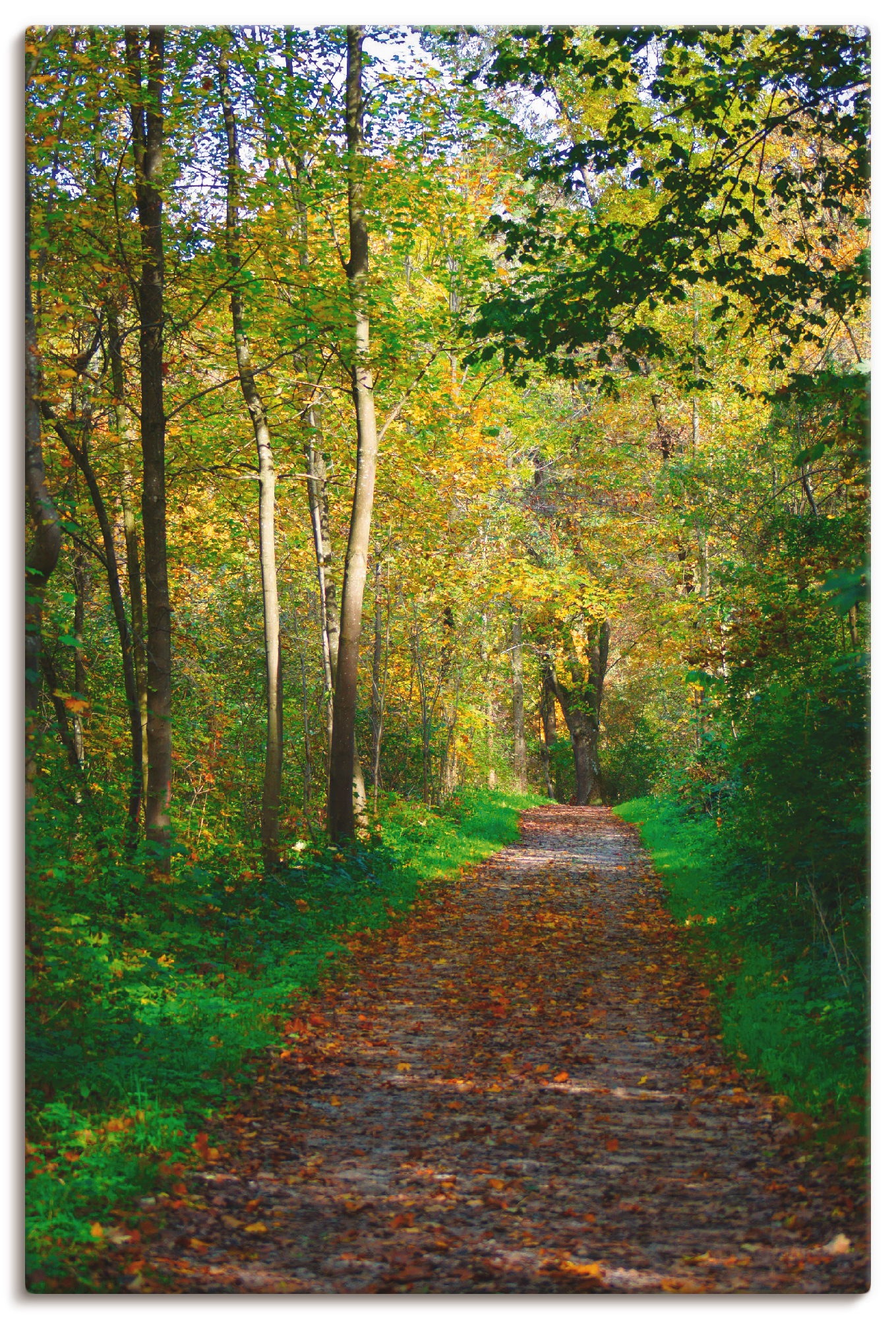 Image of Artland Wandbild »Weg im Herbst Wald«, Wald, (1 St.), in vielen Grössen & Produktarten - Alubild / Outdoorbild für den Aussenbereich, Leinwandbild, Poster, Wandaufkleber / Wandtattoo auch für Badezimmer geeignet bei Ackermann Versand Schweiz