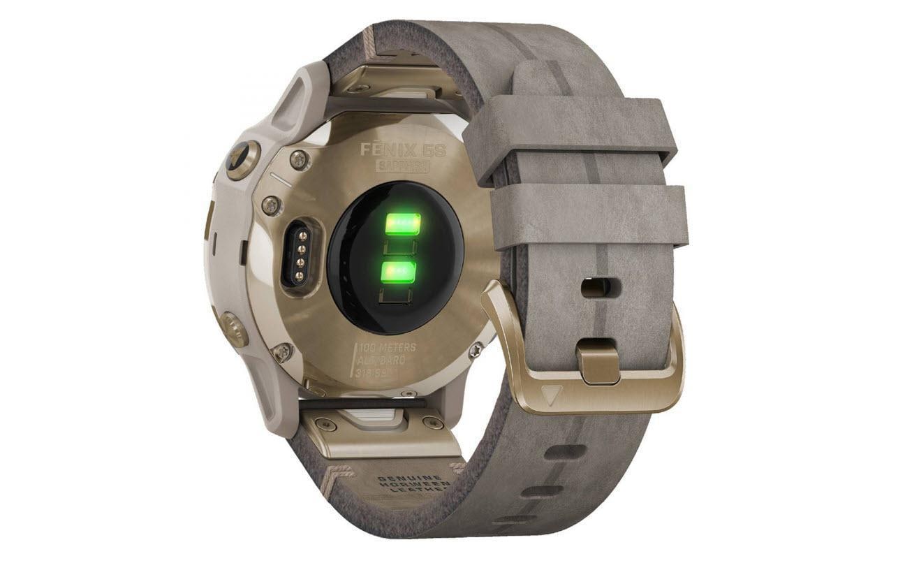 Garmin Smartwatch »Fenix 6S Sapphire Silberfarben/Grau/Goldfarben«,)