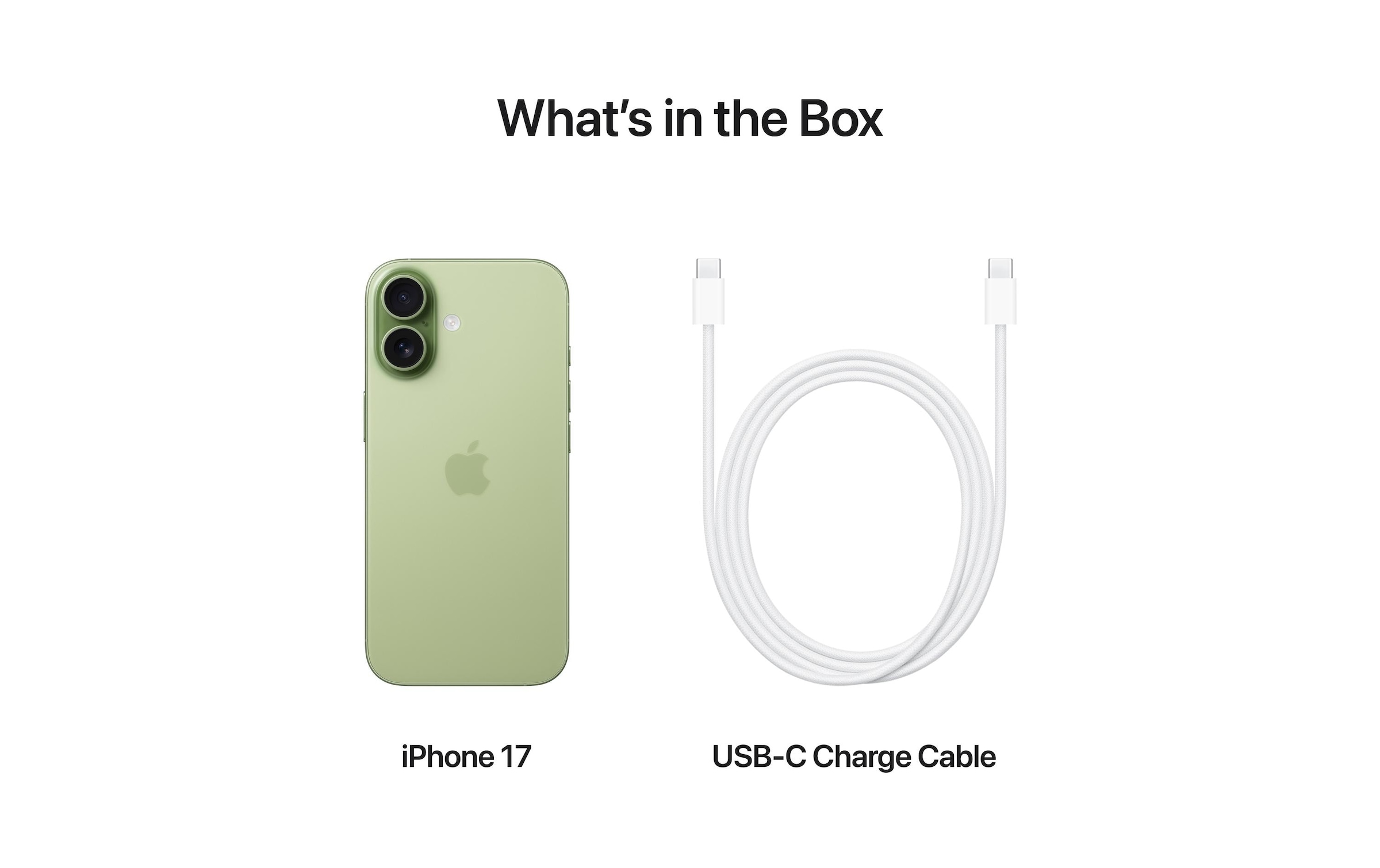 Apple Smartphone »iPhone 17« Grün Induktionsladung