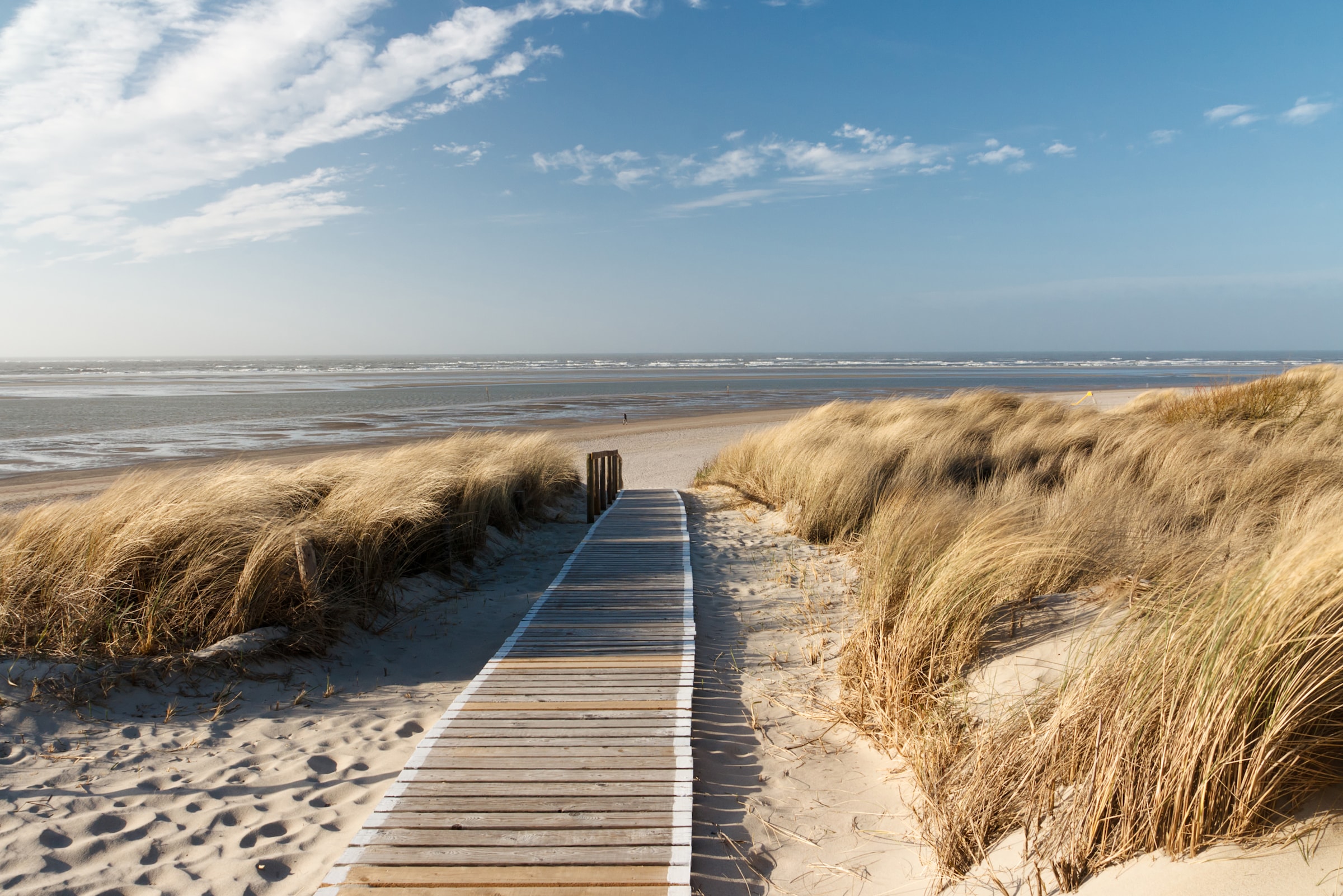 Fototapete »Dunes in Langeoog«