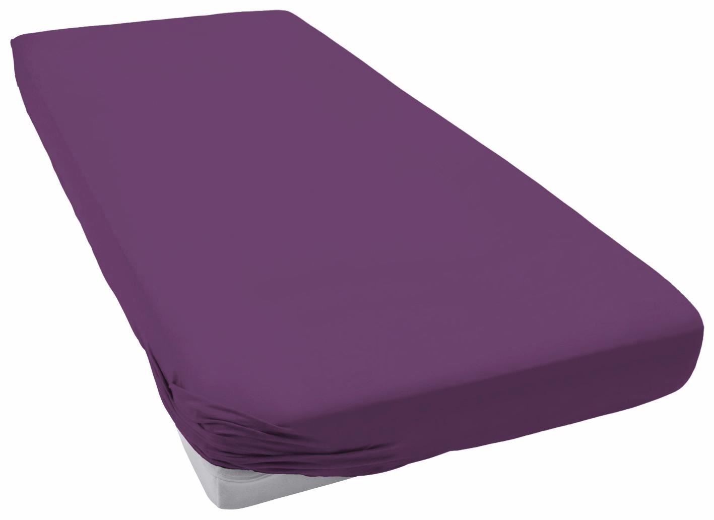 Image of Primera Spannbettlaken »Teddy Flausch«, (1 St.), mit Rundumgummizug bei Ackermann Versand Schweiz