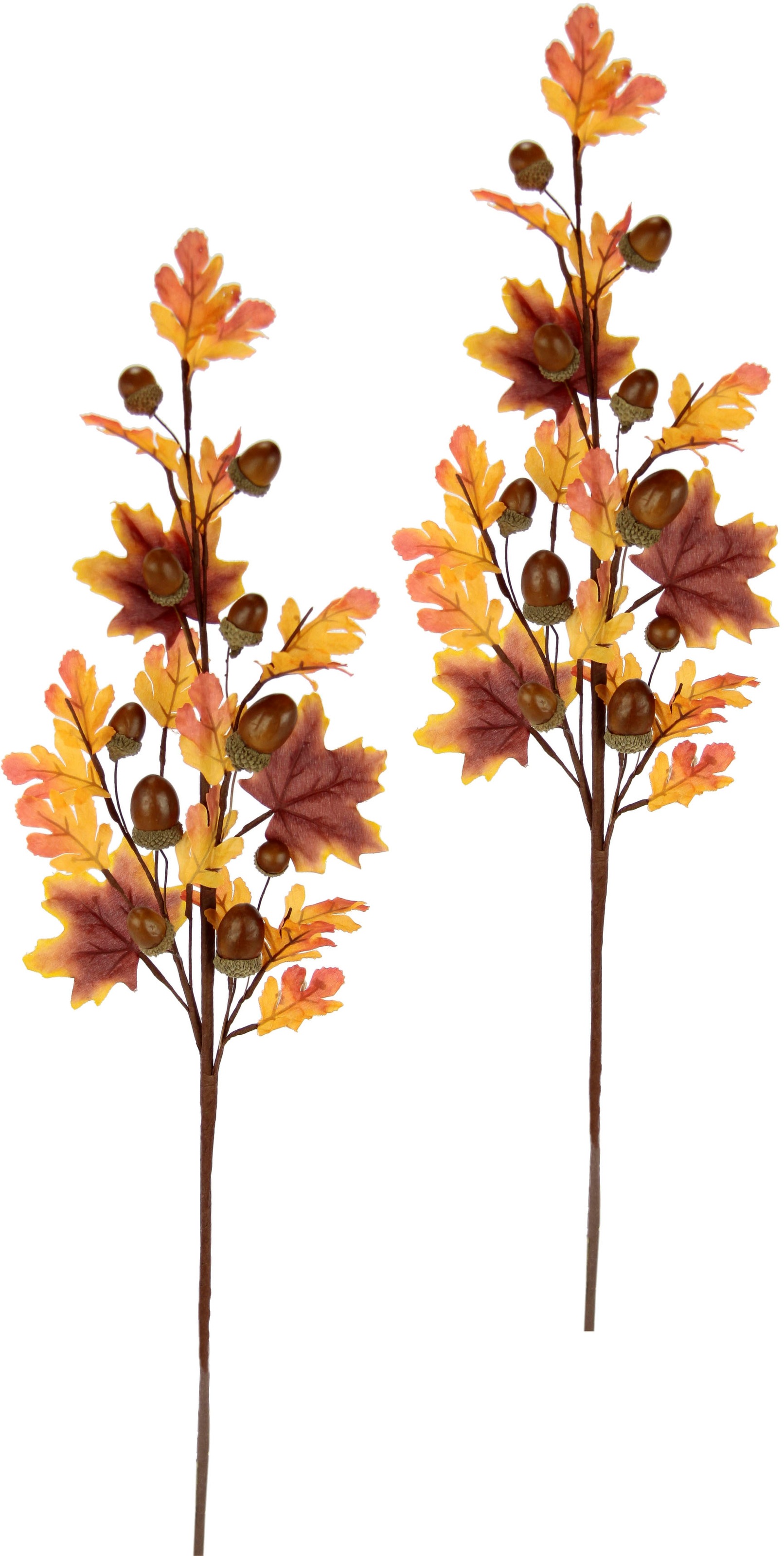 Image of I.GE.A. Kunstzweig »Herbstzweige«, (2 St.), Mit Eicheln und Herbstlaub, 2er Set bei Ackermann Versand Schweiz