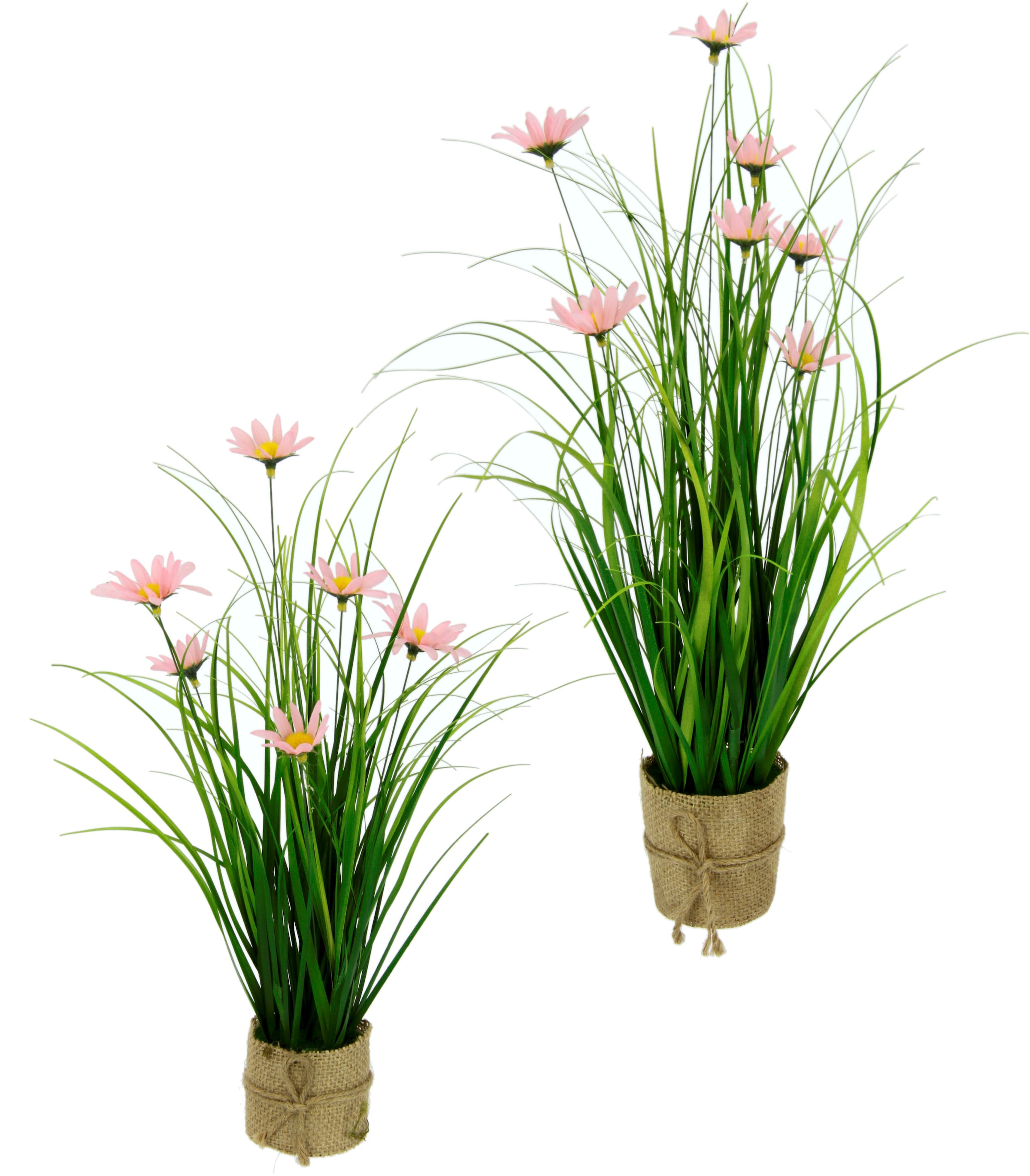Botanic-Haus Künstliche Zimmerpflanze kaufen - im Korb« Erika Arrangement »Lavendel