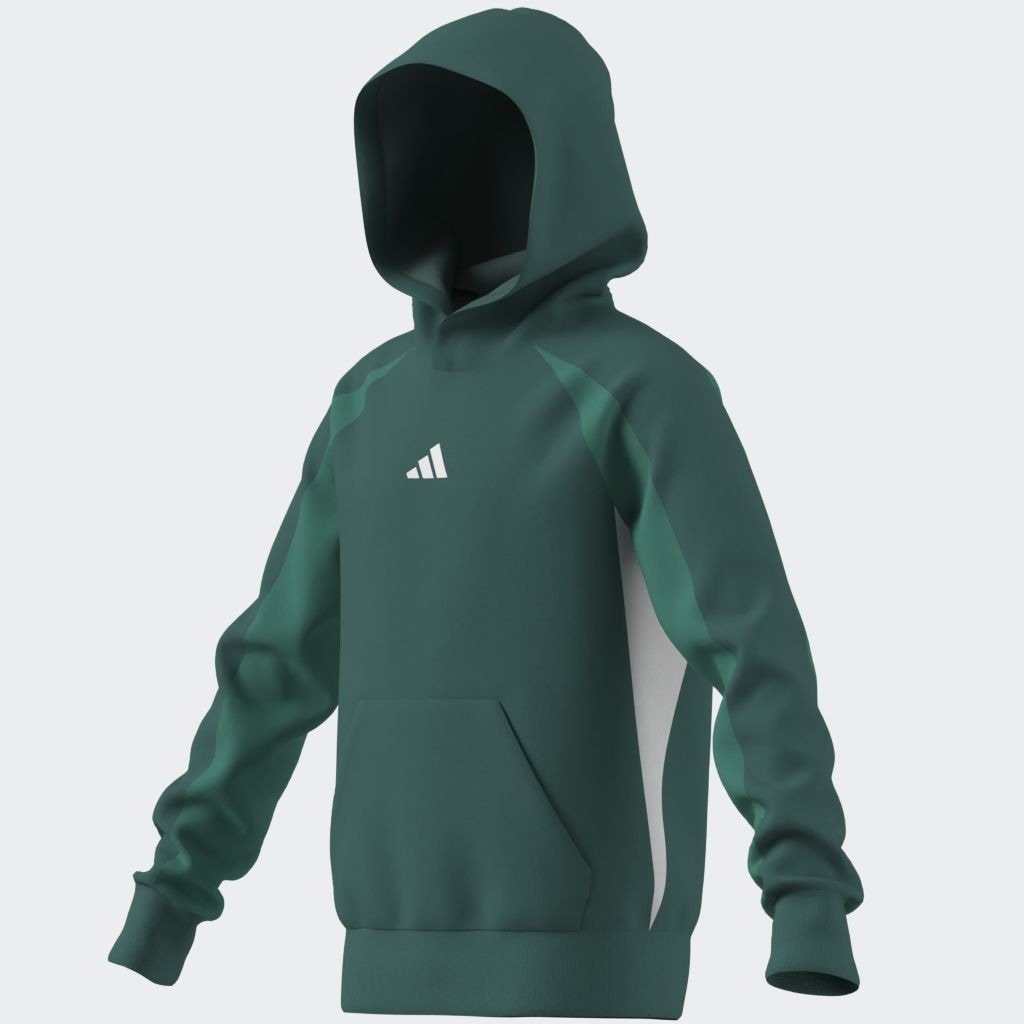 adidas Sportswear Kapuzensweatshirt »J CB FL HD«