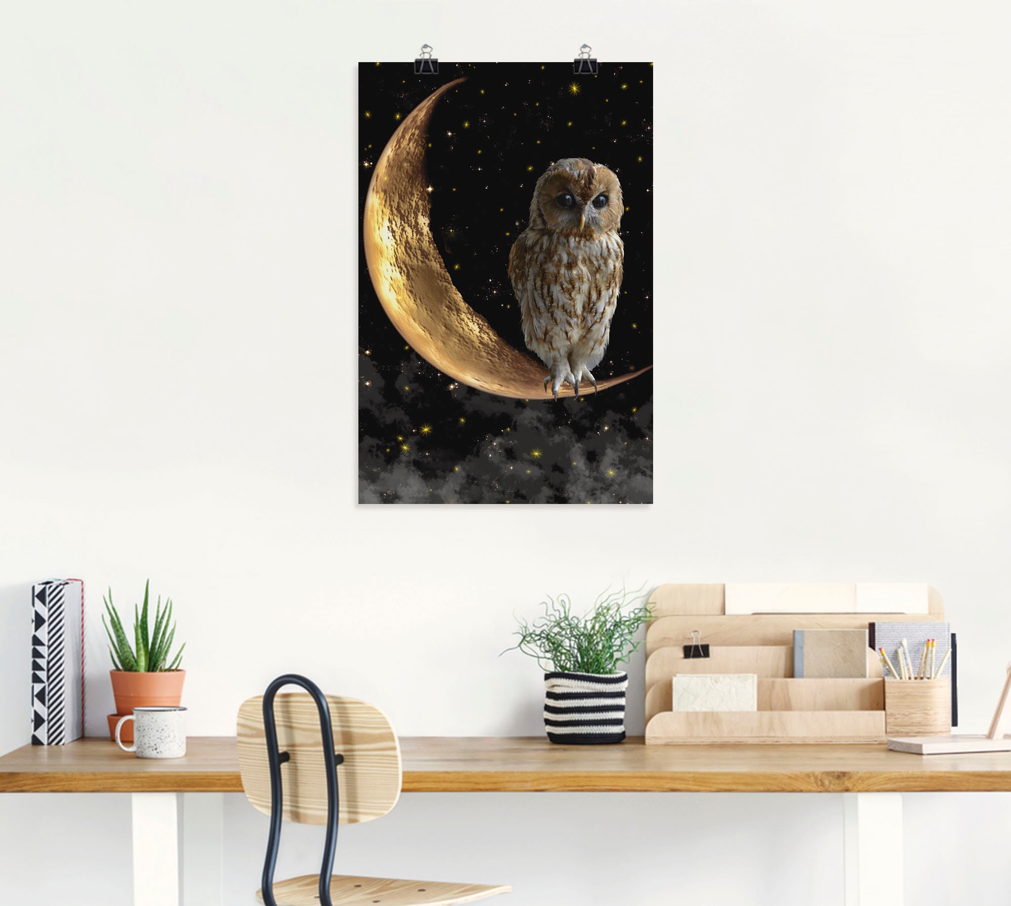 Artland Fresque murale »Nachteule« 1 cuis tlg. als Alubild, Leinwandbild, Poster in verschied. Grössen