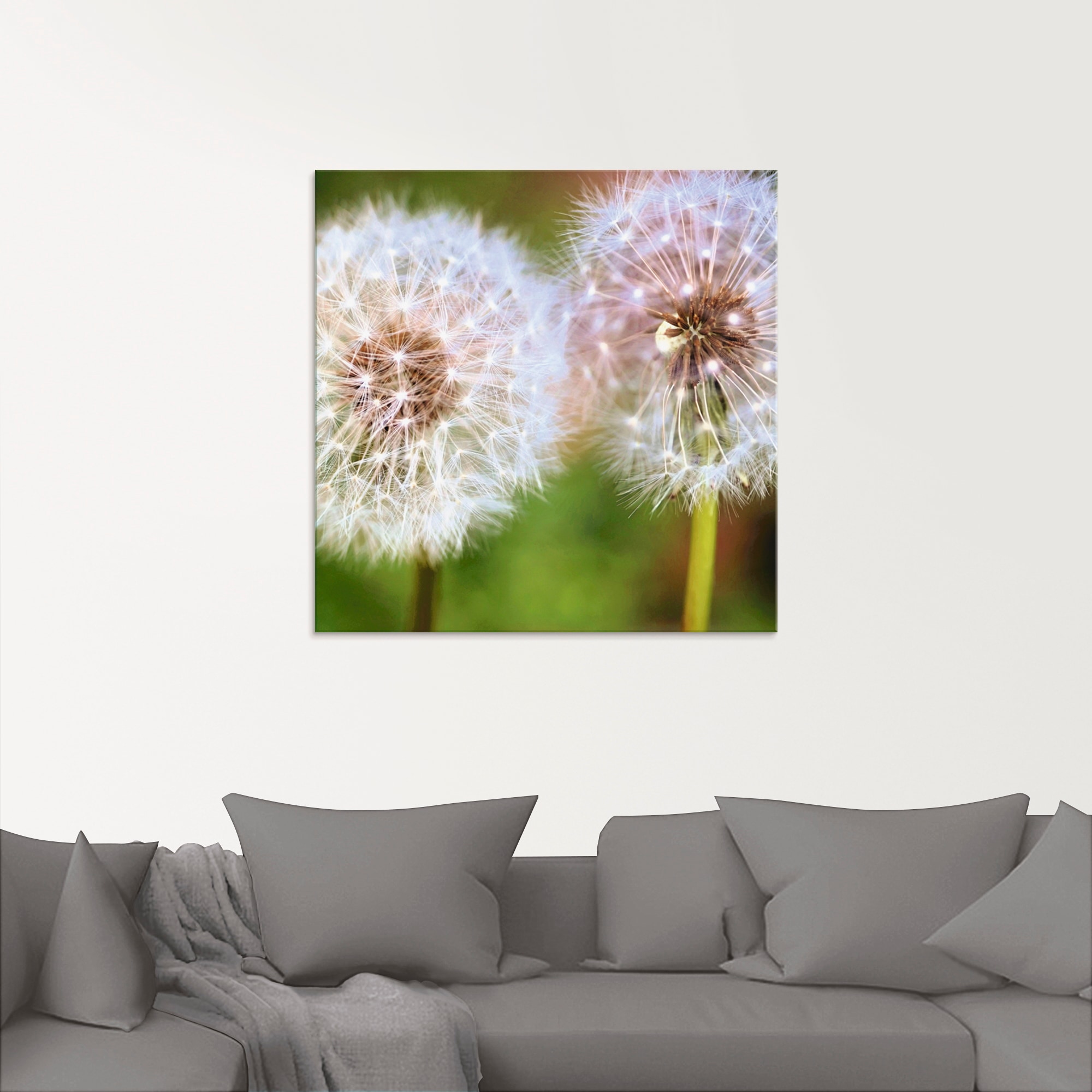 Artland Glasbild »Pusteblume Zweisamkeit«, Blumen, (1 St.), in verschiedenen Grössen